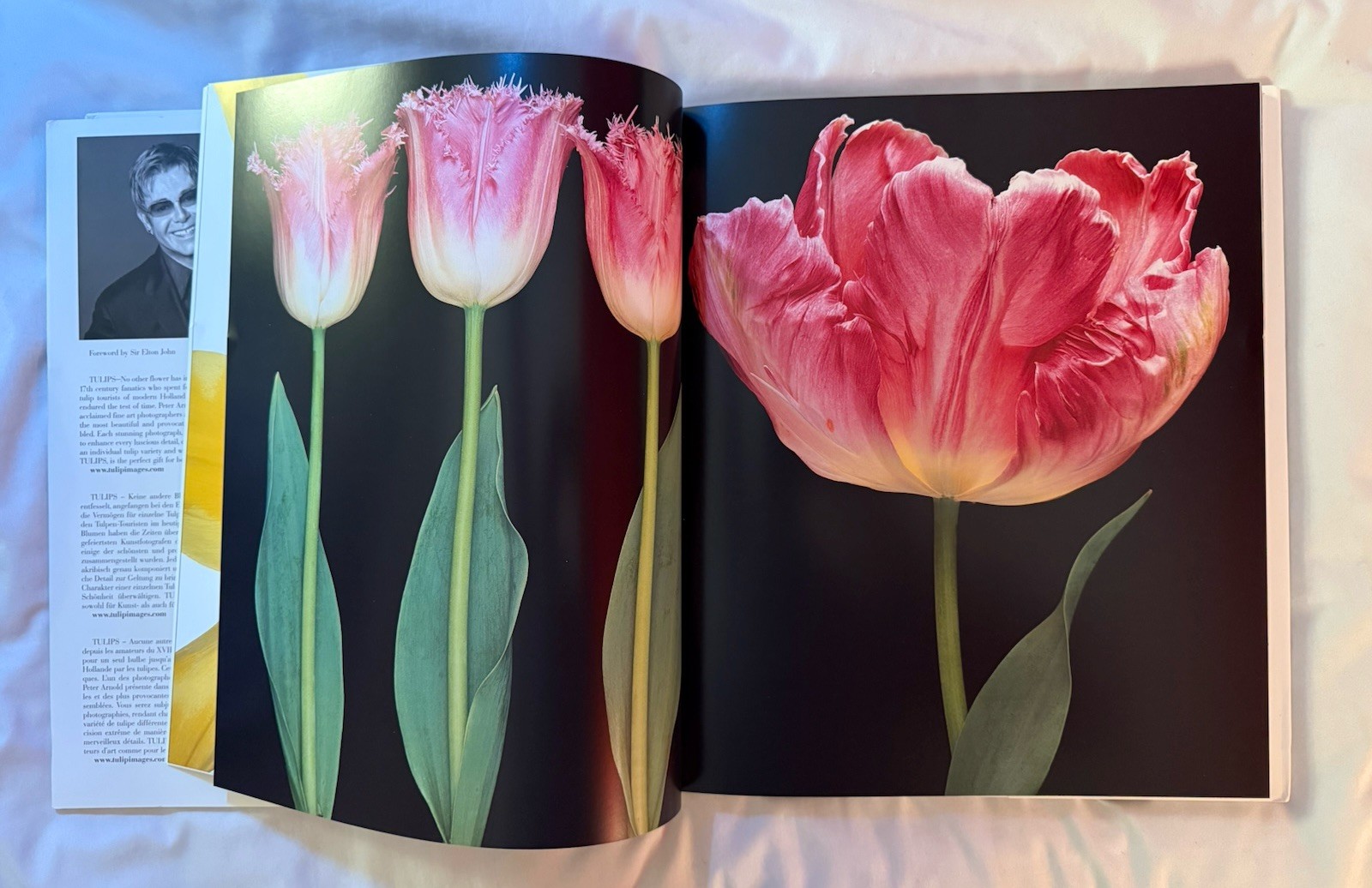 BRAND NEW!!! Tulips Photography Book Hardcover Book with Dust Jacket