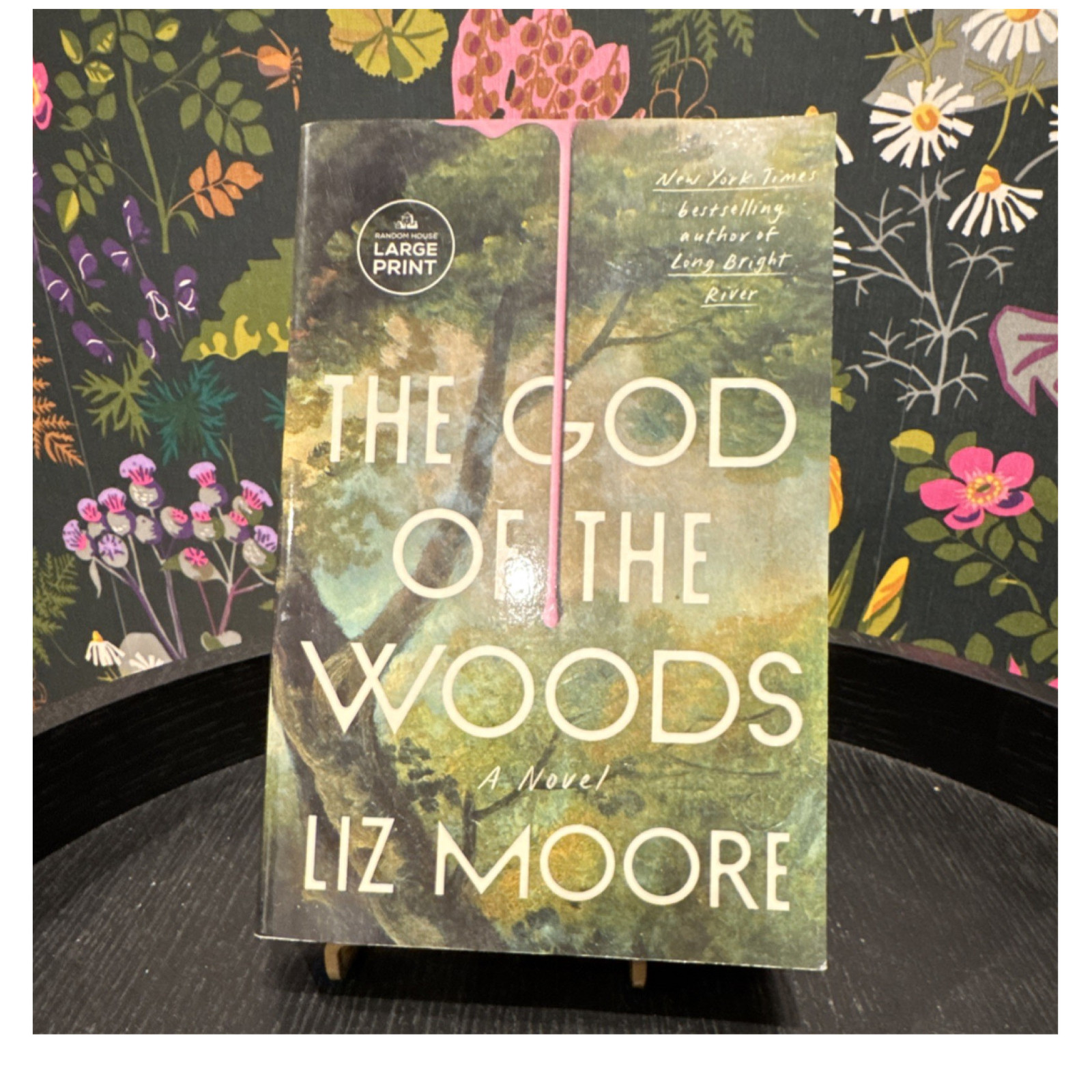 Liz Moore The God of the Woods Large Print Novel 2024 Random House Fiction