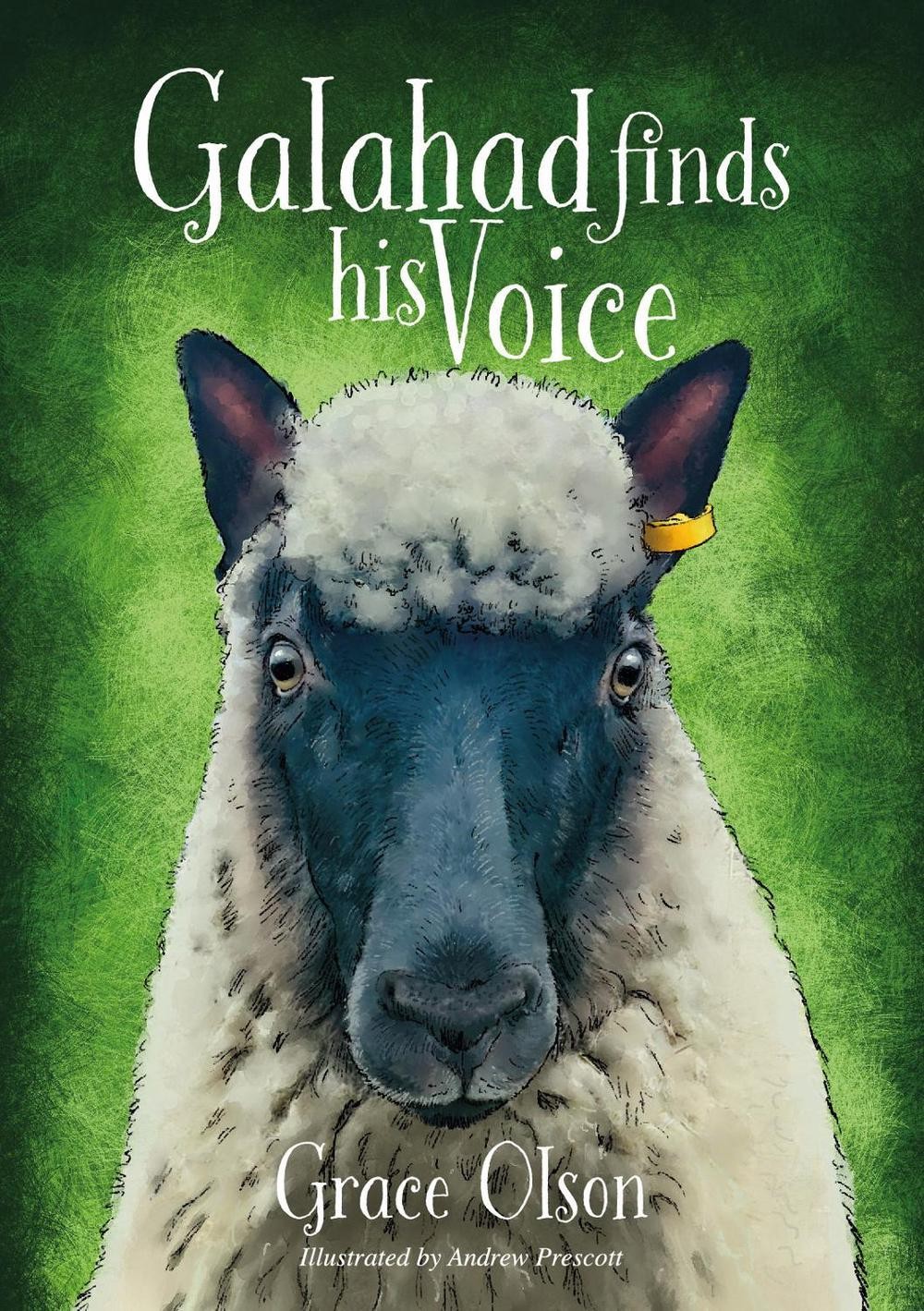 Galahad finds his Voice by Grace Olson Paperback Book