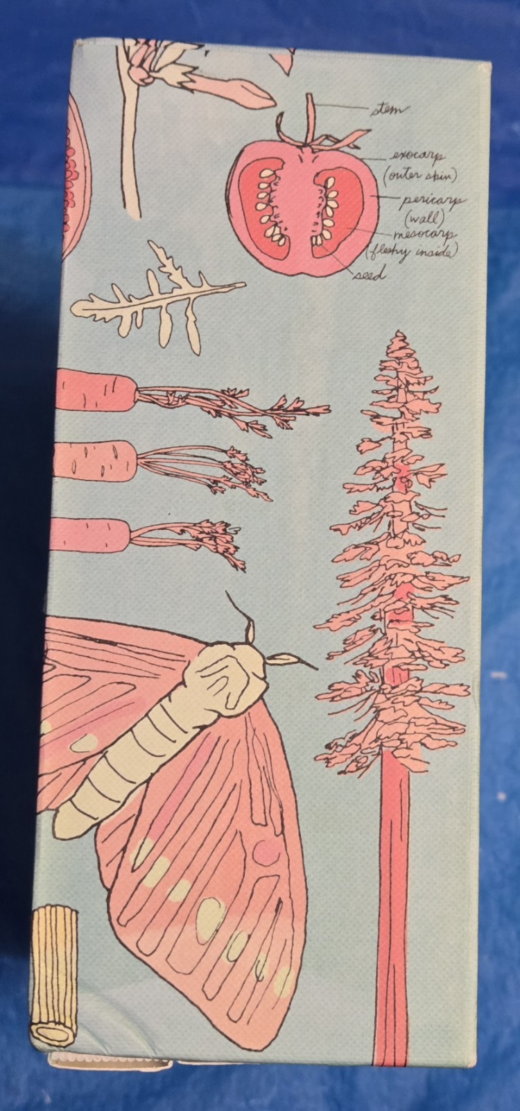 The Julia Rothman Collection: Farm Anatomy, Nature Anatomy, and Food Anatomy VG