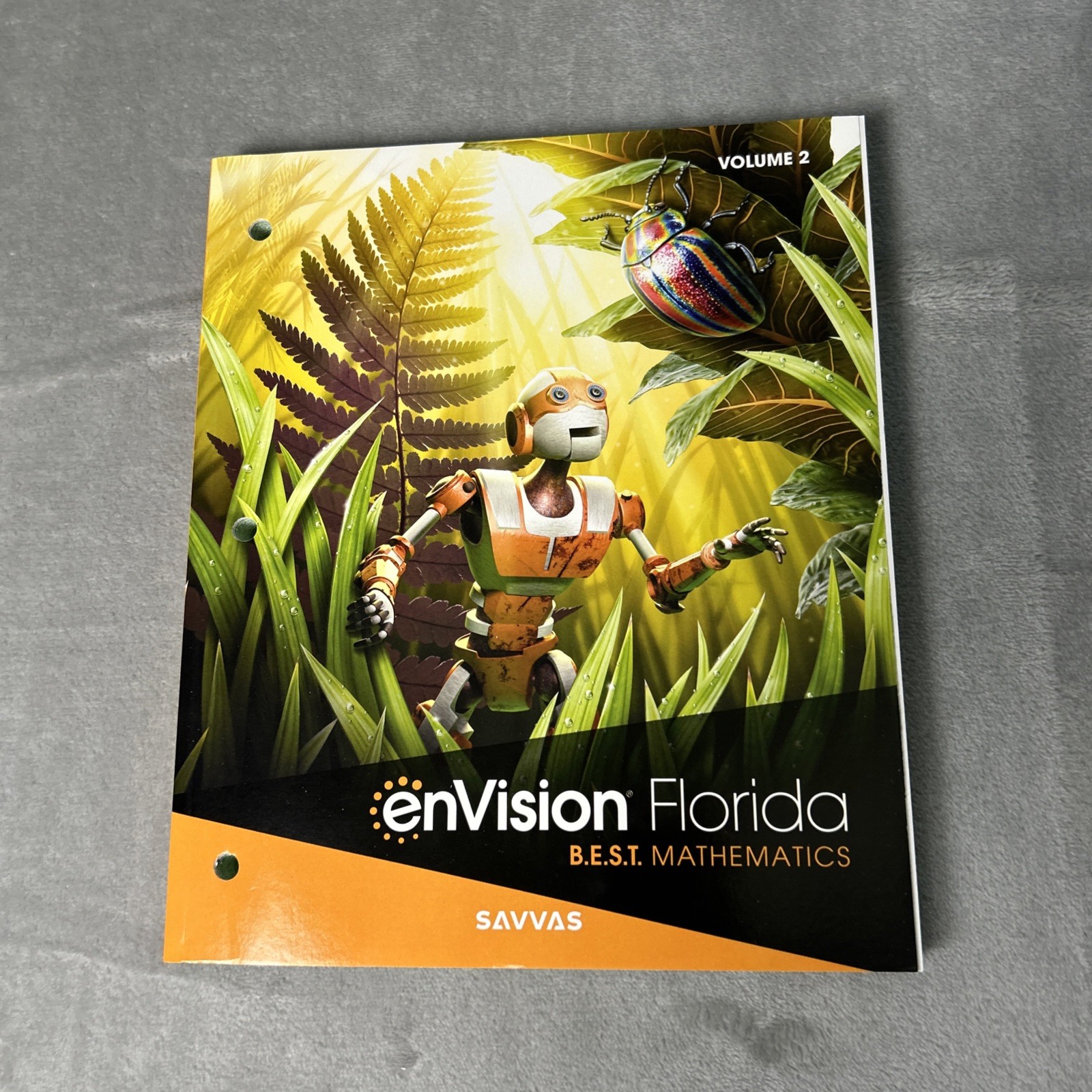 Grade 6 Envision Mathematics Florida BEST Student Edition Volume 2 2023 NEW