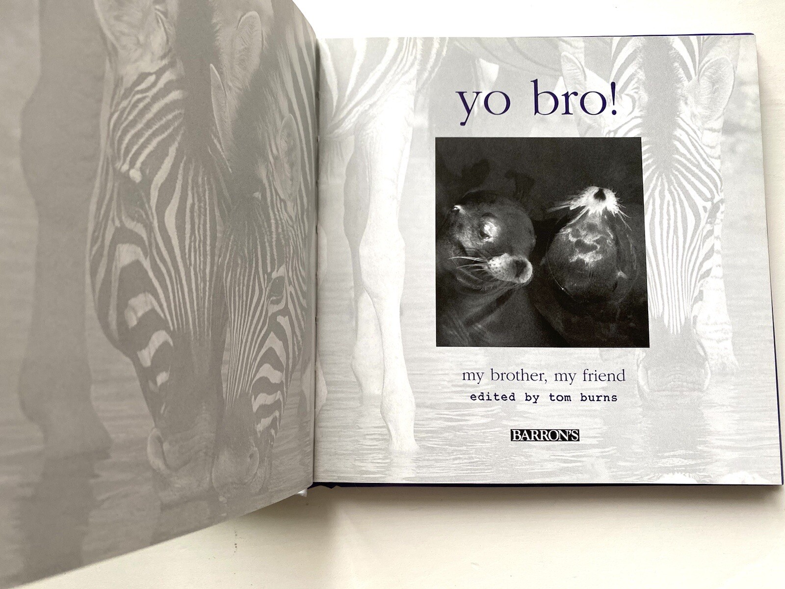 Book” Yo Bro!: My Brother, My Friend” by Tom Burns size 6.5×6.5in.