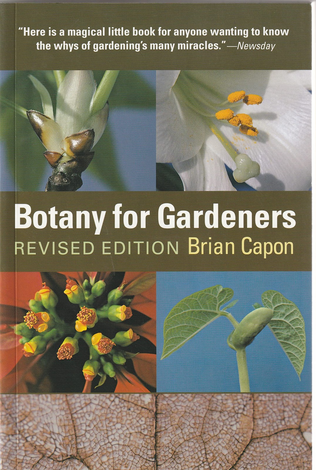 Botany for Gardeners by Brian Capon