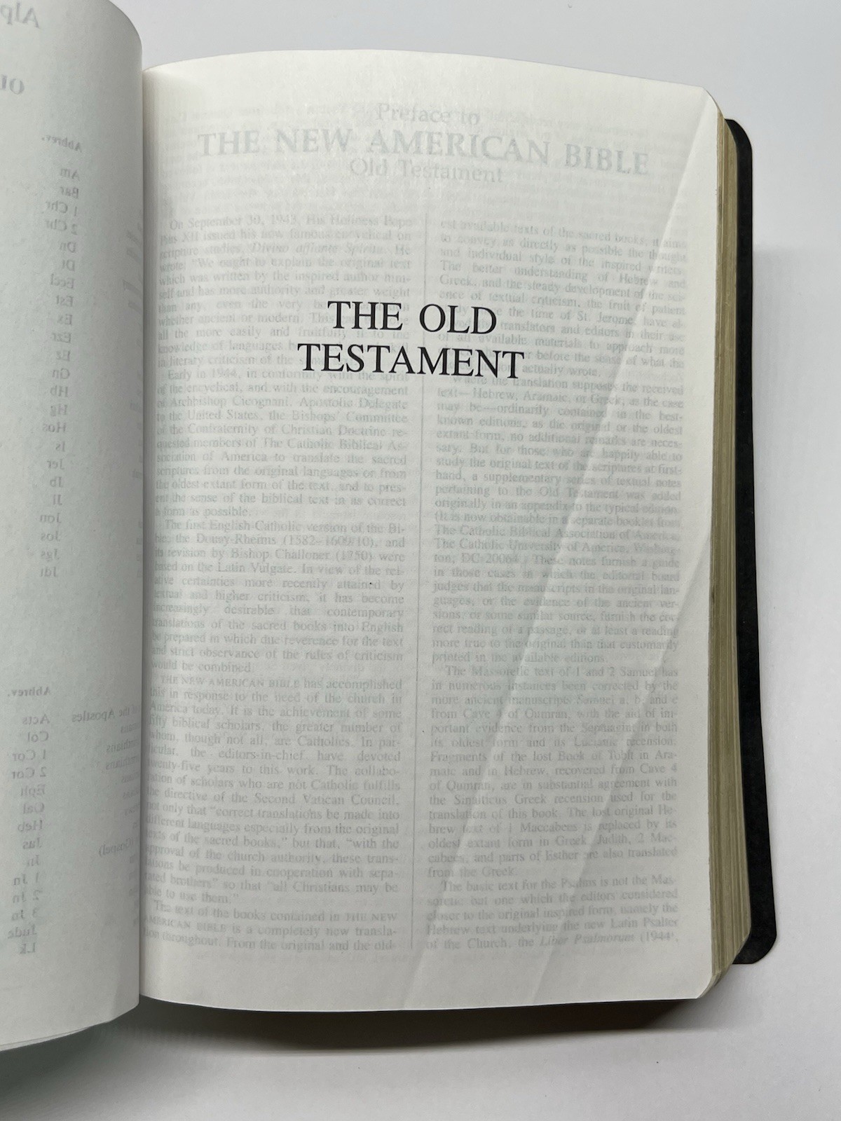The New American Bible /Bible Catholic Word Press ~