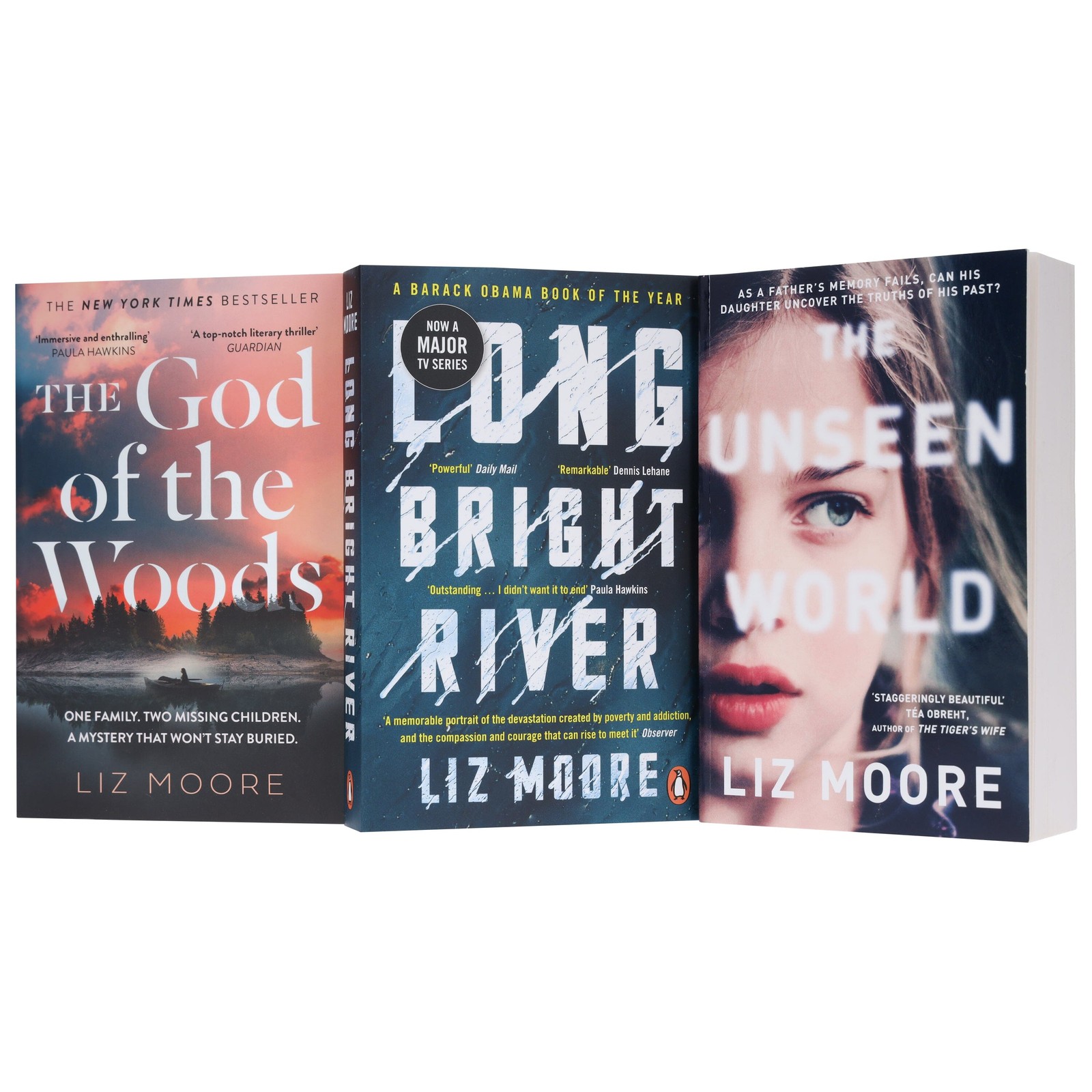 Liz Moore Collection 3 Books Set – Fiction – Paperback