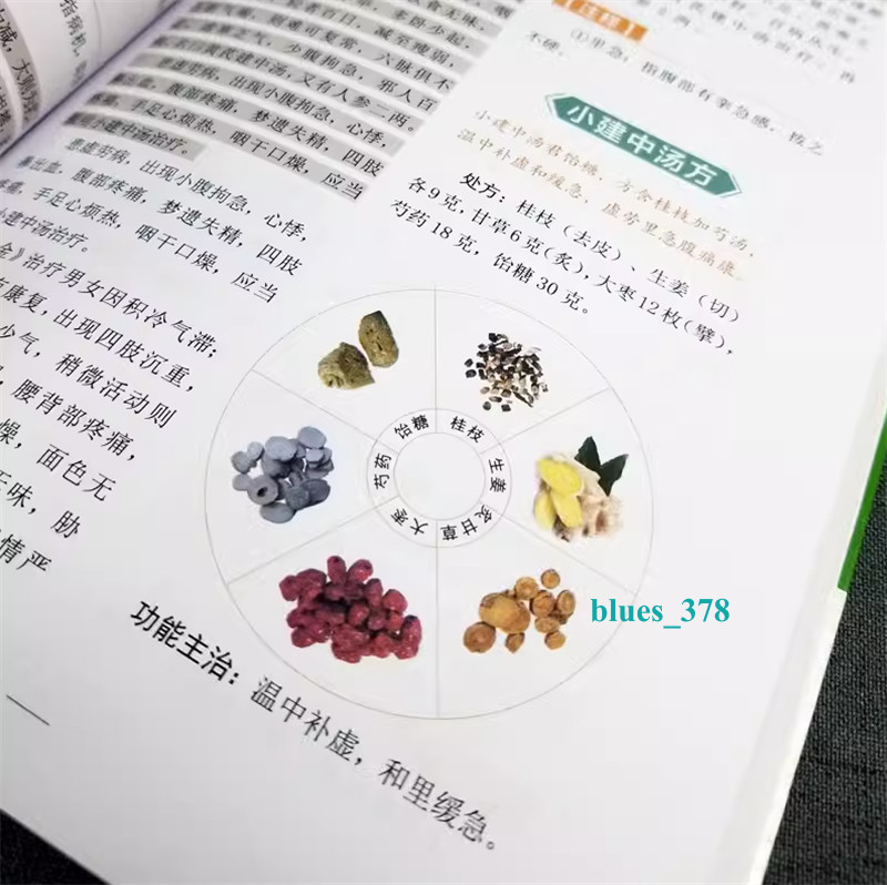 2pc Chinese Traditional Herbal Book Shanghan Zabing Lun 伤寒论 张仲景 +金匮要略 中医临床书籍基础理论
