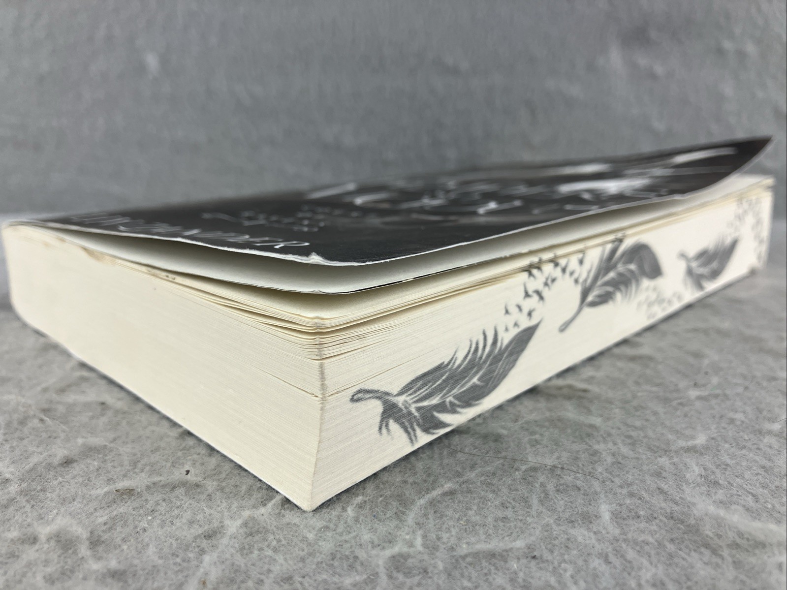 Feathers So Vicious: A Dark Fantasy Romance by Liv Zander Sprayed Pages