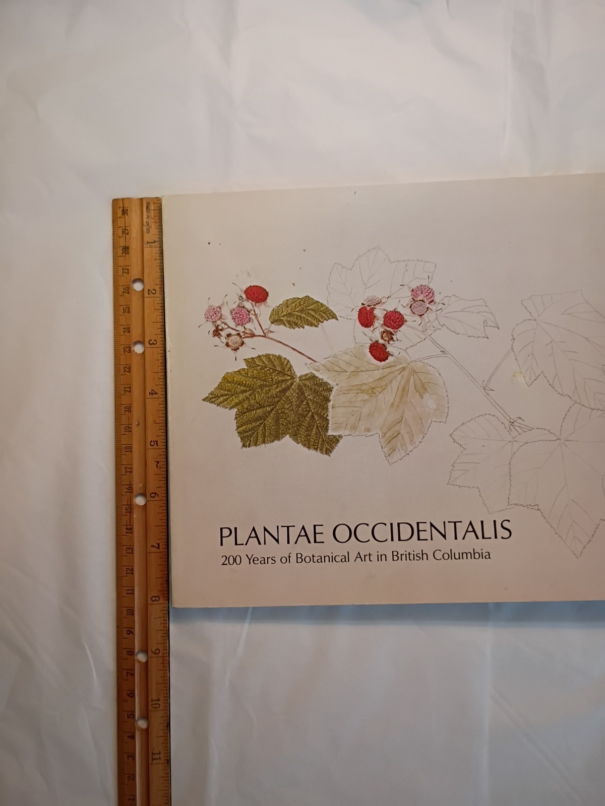 Plantae Occidental 1979 200 Years Of Botanical Art In British Columbia (658)
