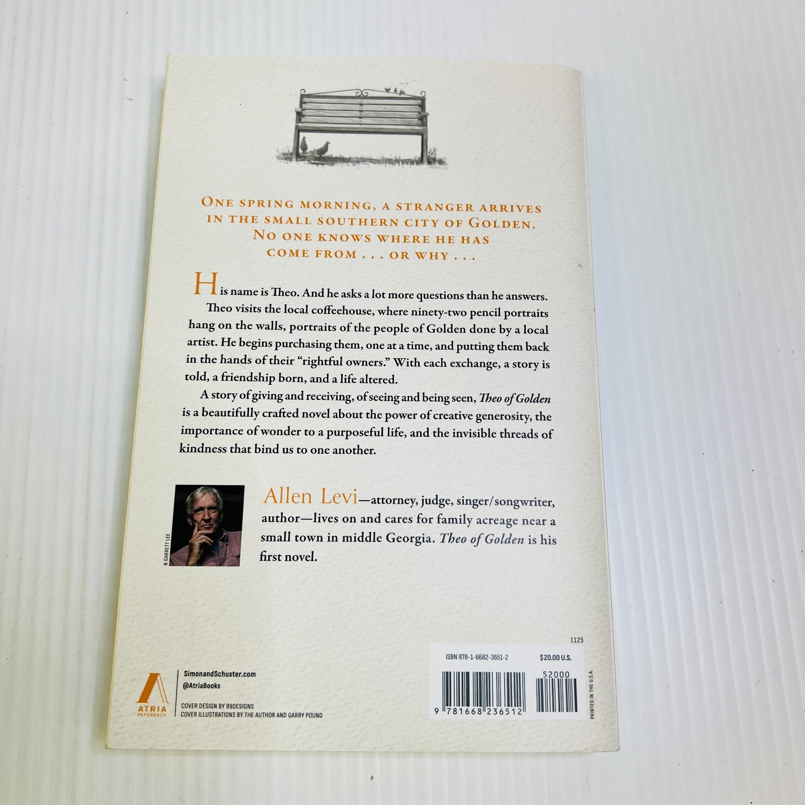 Theo of Golden: a Novel by Allen Levi