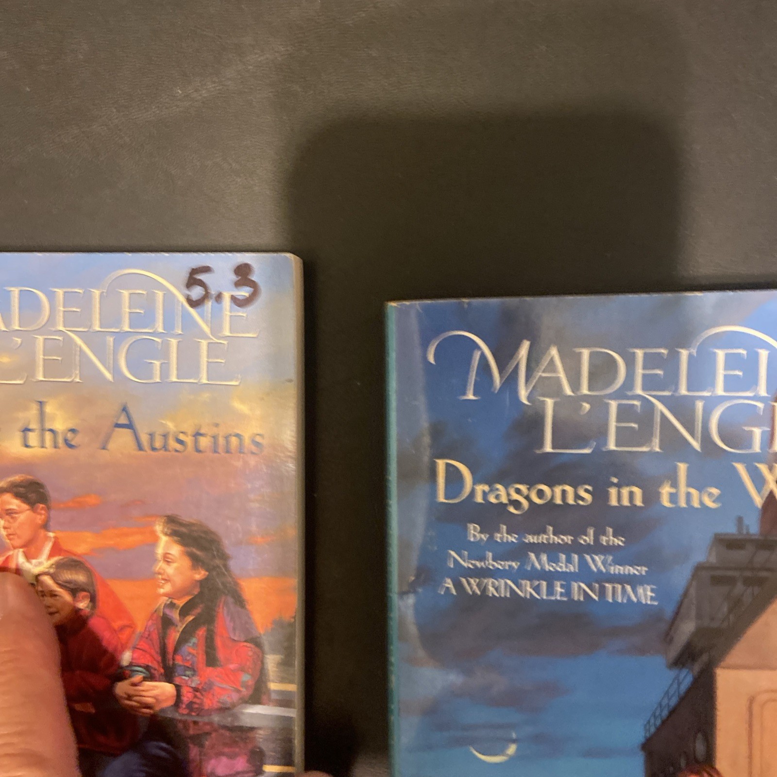 Madeleine L’Engle Fiction Lot Of 9 HCs & PBs Includes Journal G-VG Condition