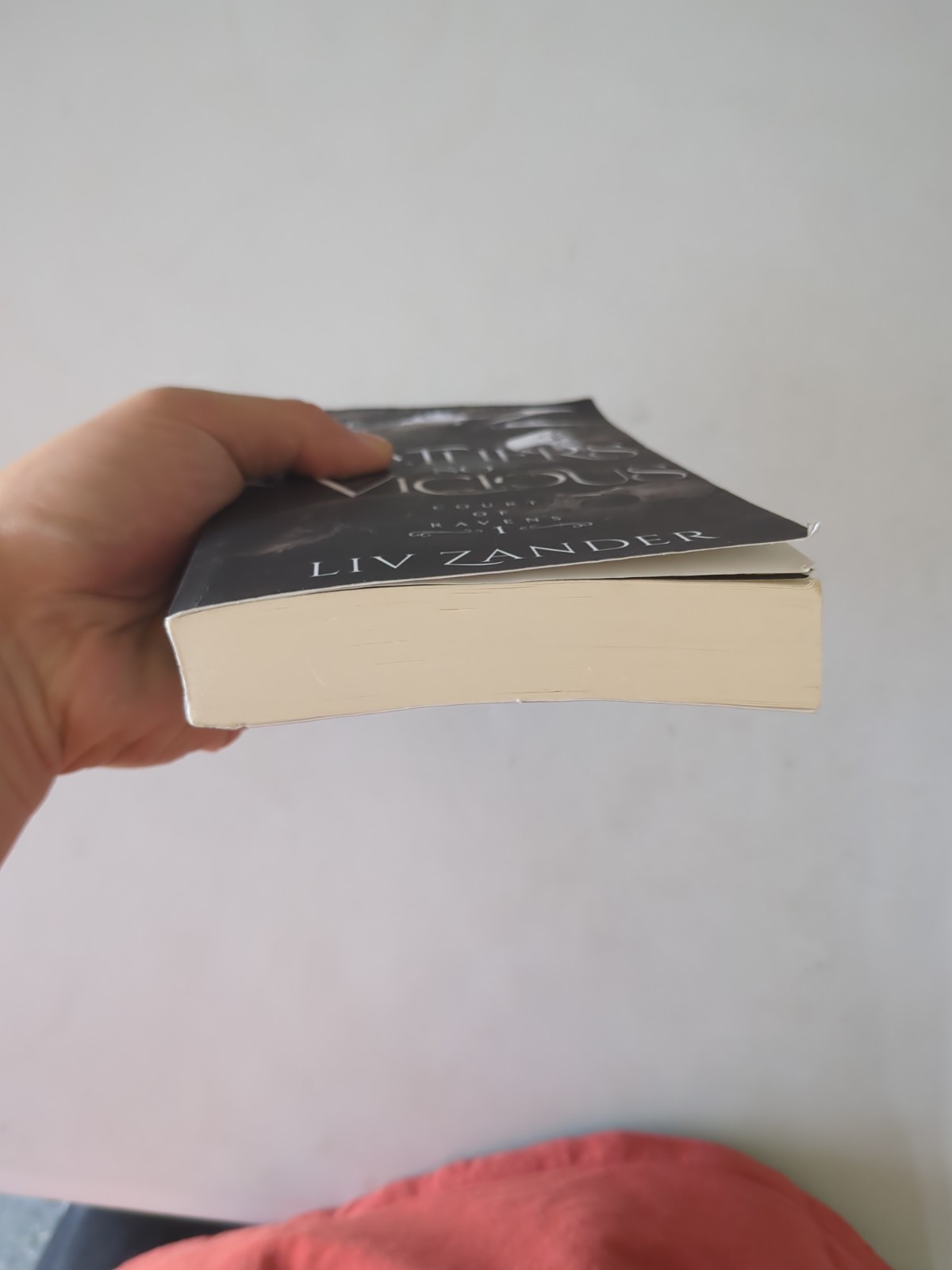Feathers so Vicious: A Dark Fantasy – Paperback, by Zander Liv