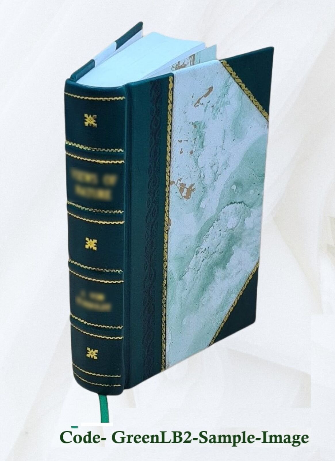 La Conqu?Te Du Cameroun 1Er Ao?T 1914 – 20 Fevrier 1916 1933 [Leather Bound]