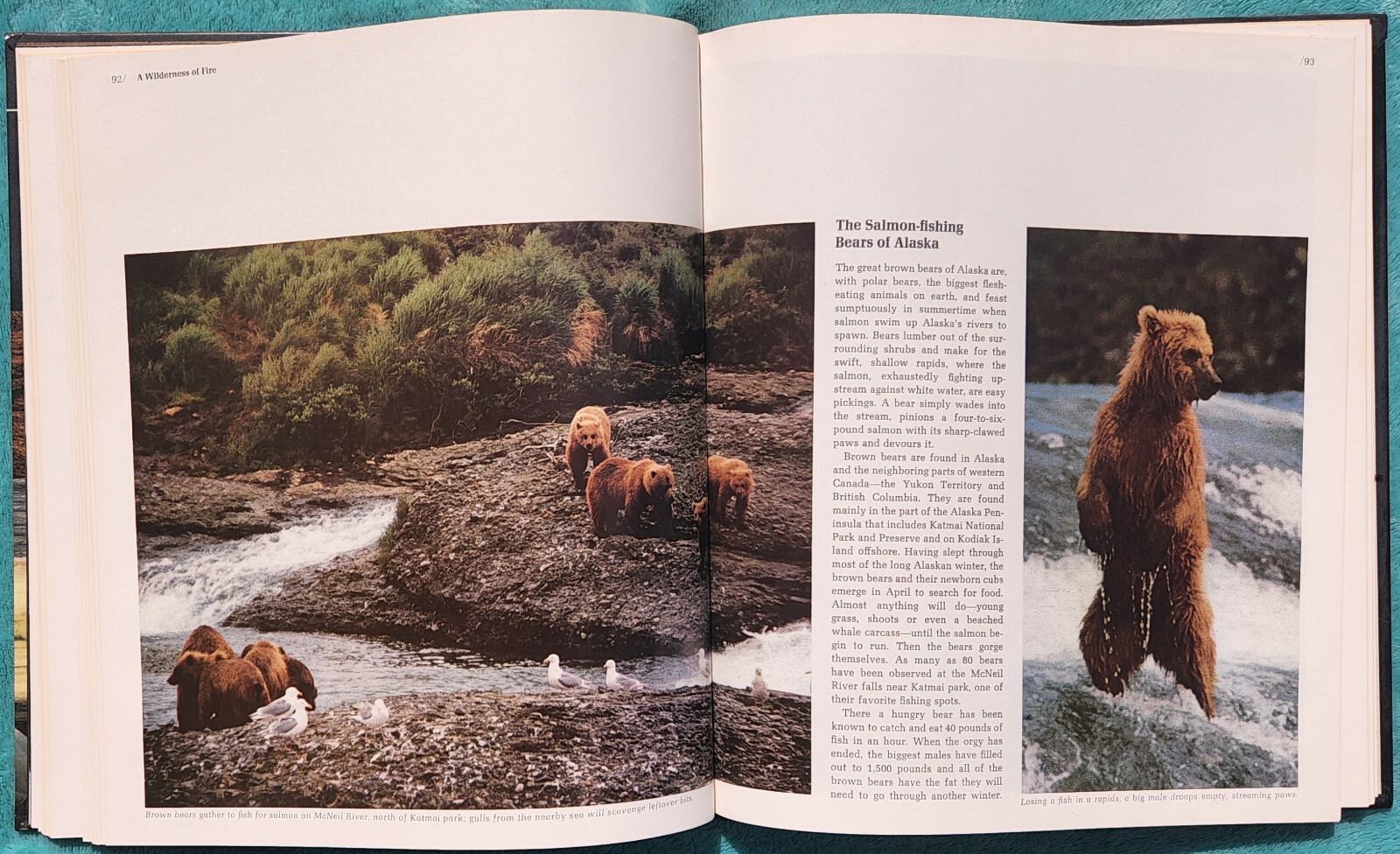 Wild Alaska The American Wilderness 1982 Time-Life Hardcover 184 Pages
