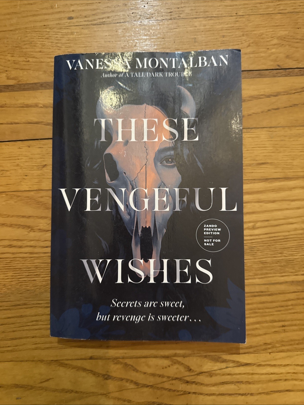 These Vengeful Wishes Vanessa Montalban ARC Zando Preview Edition New PB