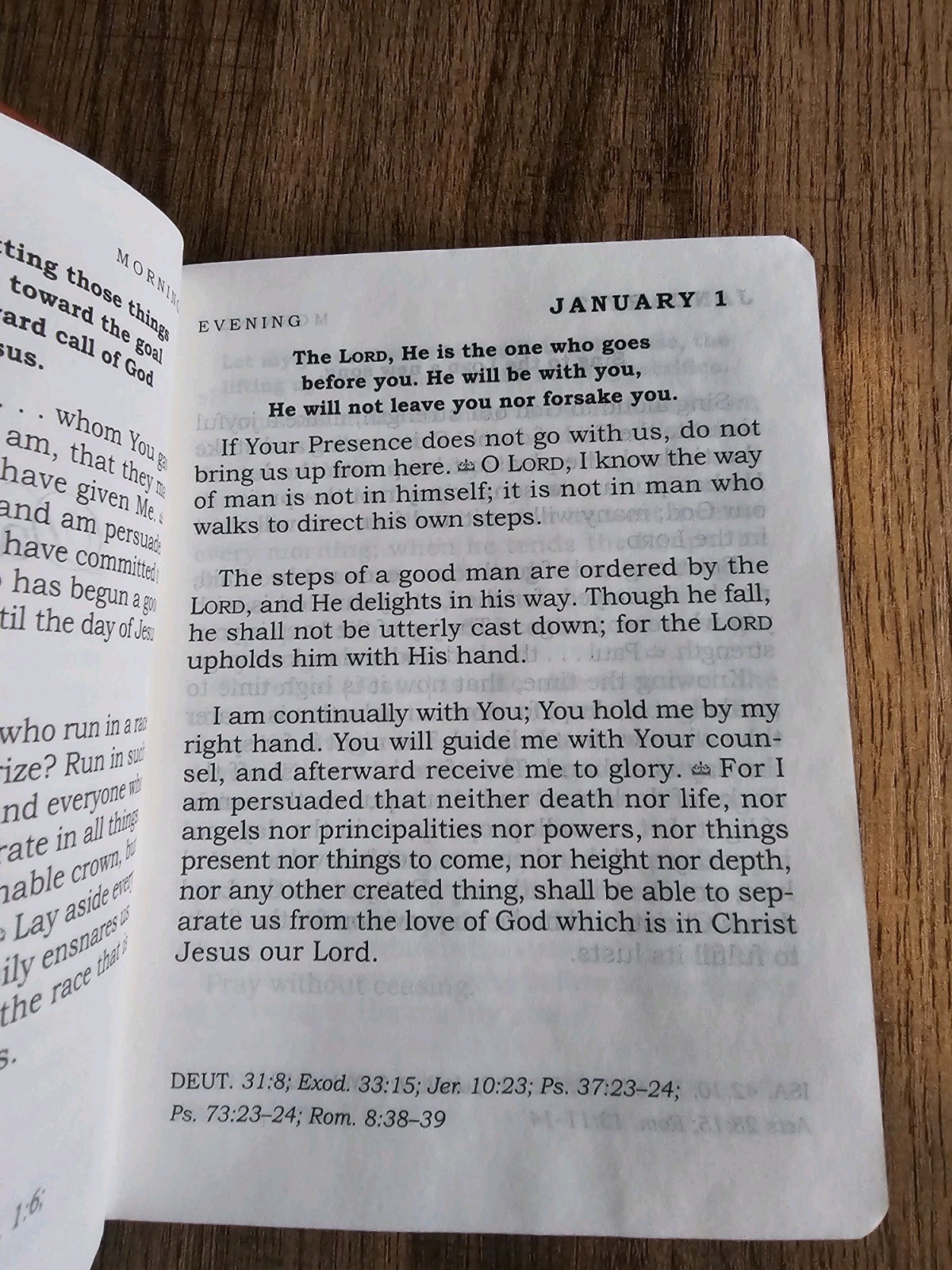 Daily Light Devotional by Anne Graham Lotz: Brand New Tan Color