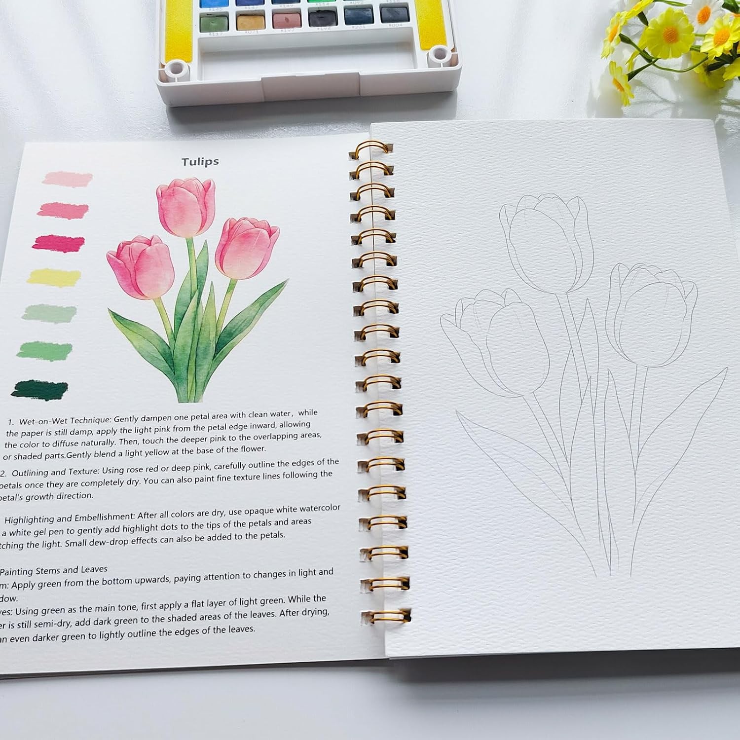 Watercolor Workbook 15 Beautiful Flowers Paintings for Adults &Teens Beginners,W