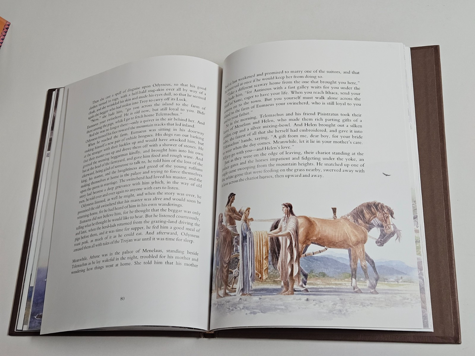 The Wanderings of Odysseus: THE STORY OF THE ODYSSEY Hardcover DUST JACKET 1996