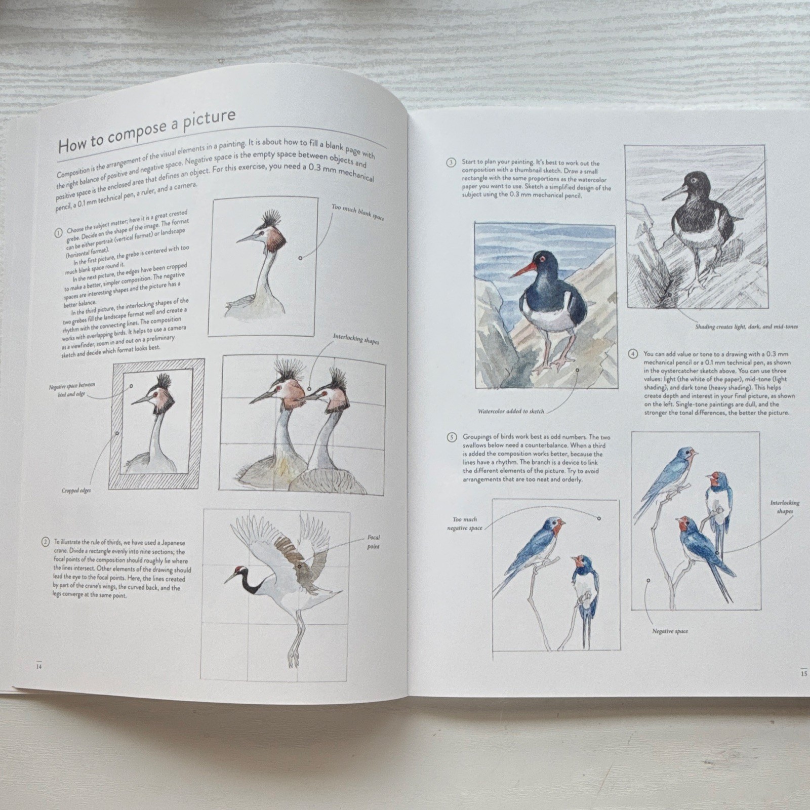Emma Faull Birds Watercolor Art Pad, White Art Paper for Painting