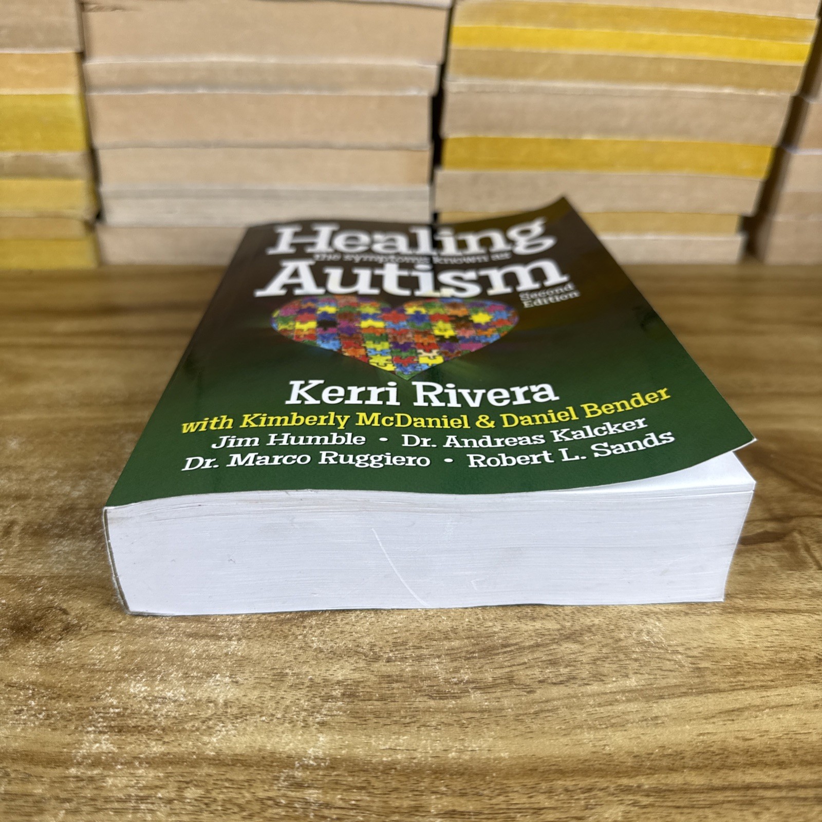 HEALING THE SYMPTOMS KNOWN AS AUTISM KERRI RIVERA 2ND EDITION PAPERBACK OOP READ