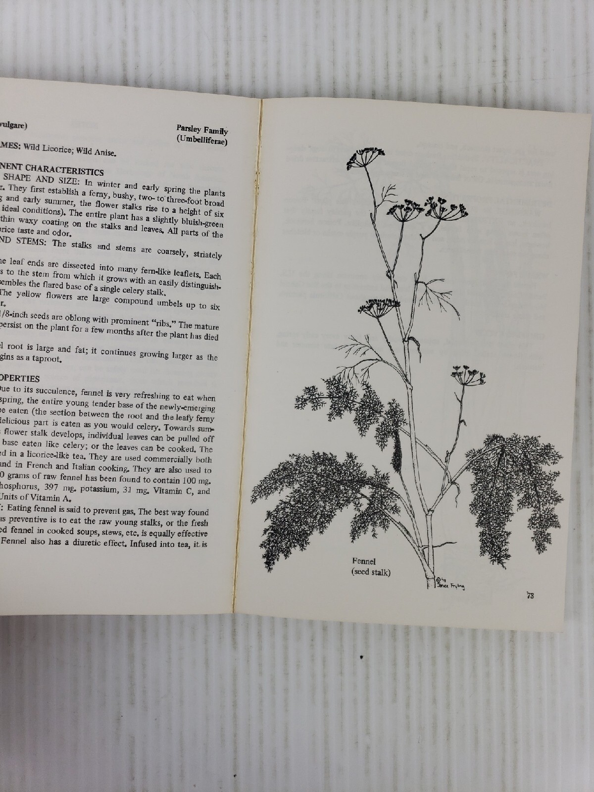 A Southern Californian’s Guide to Wild Food Volume 1 by Christopher Nyerges