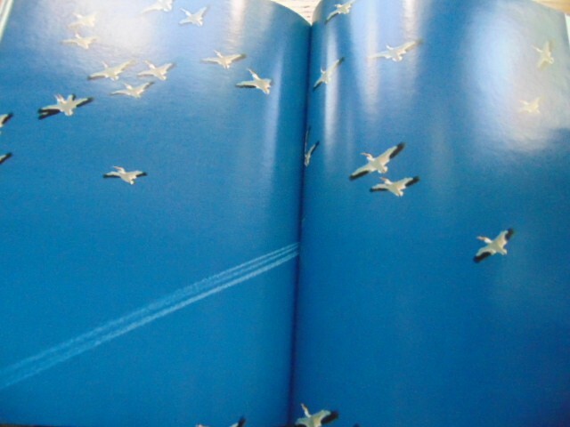 1981 Images of the World- HB- Nat. Geographic- 396 pages