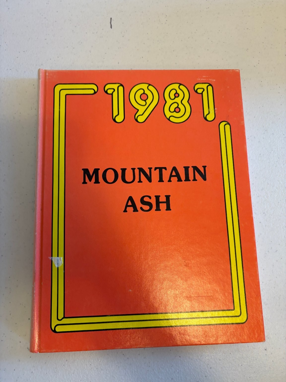Mountain Ash 1981 Walla Walla College Yearbook Annual