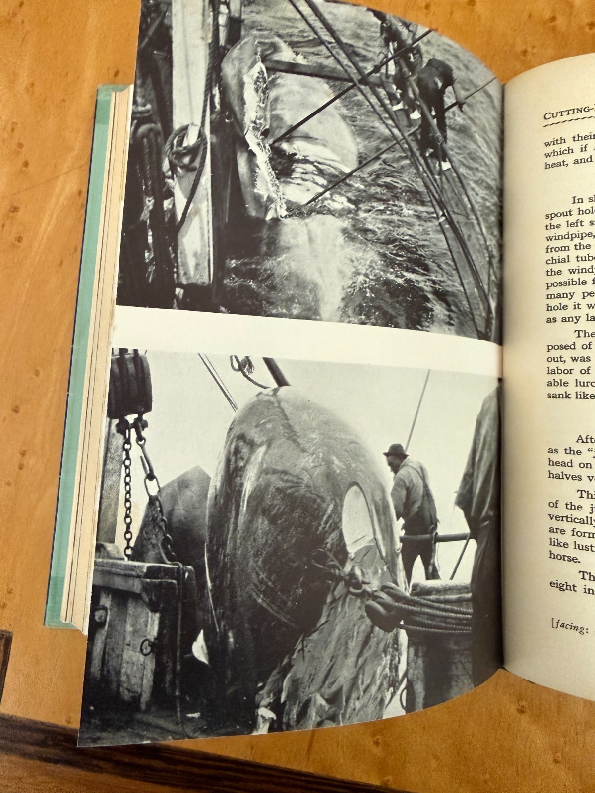 Six Whaling Adventures, Early 20th Century Books–All First Editions