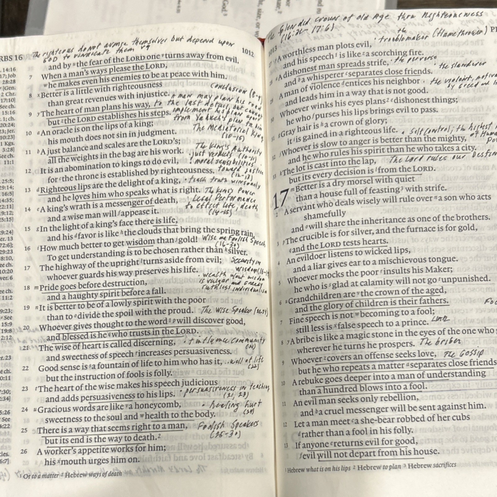 Cambridge Holy Bible English Standard Version Leather Bound Religious Bible
