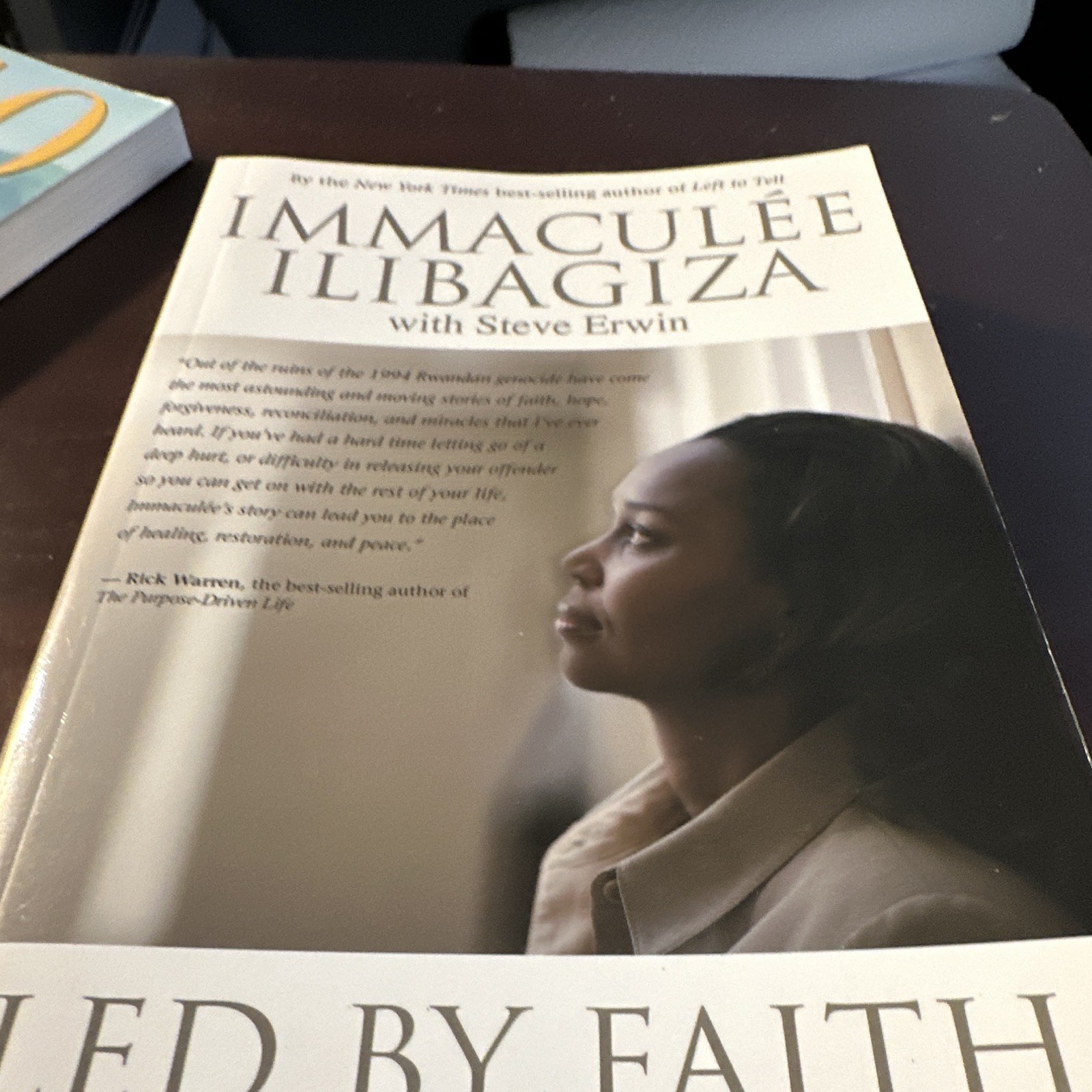 Hay House Led by Faith Rising from the Ashes Ilibagiza Erwin PB 2008