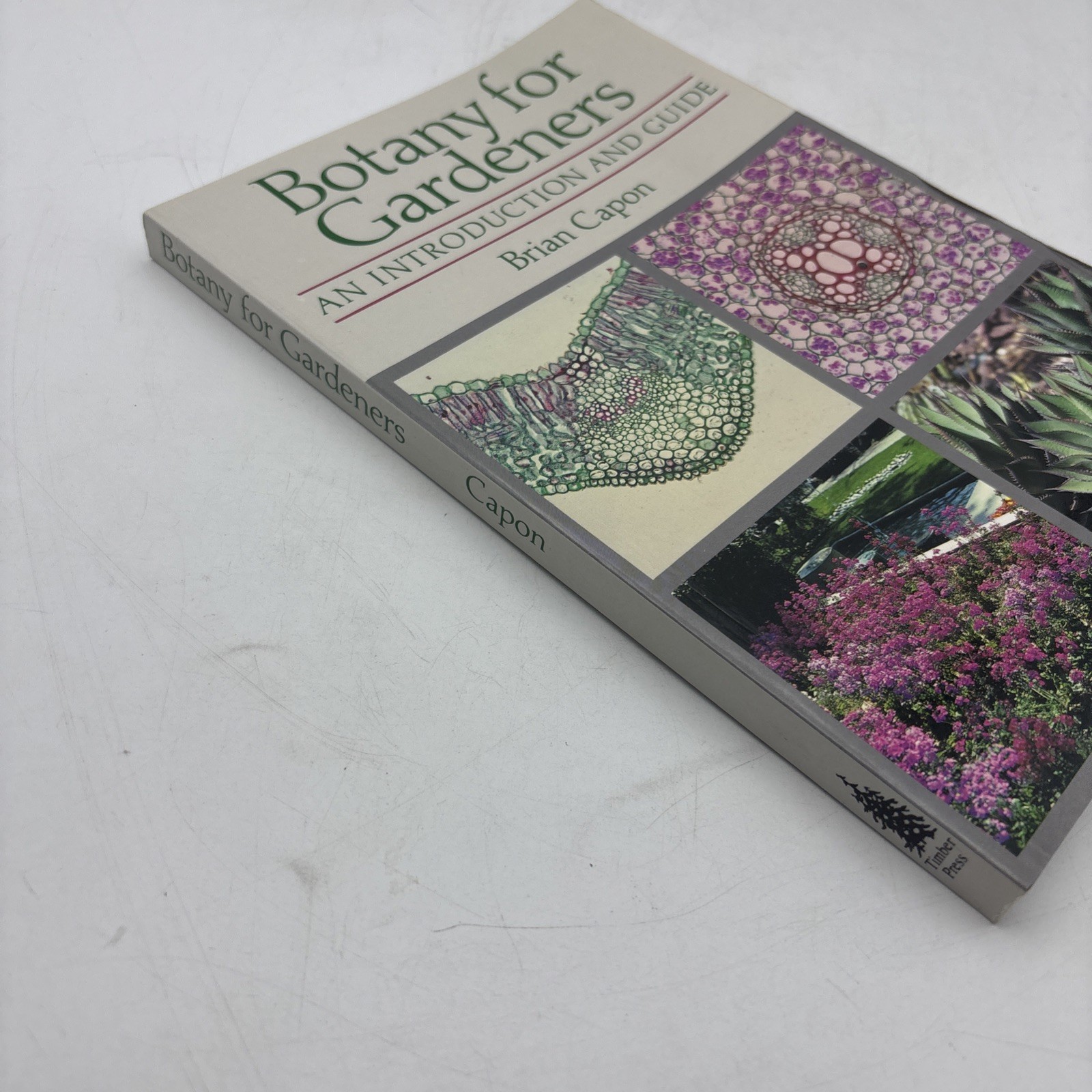 Botany for Gardeners : An Introduction and Guide by Brian Capon (1992, Trade…