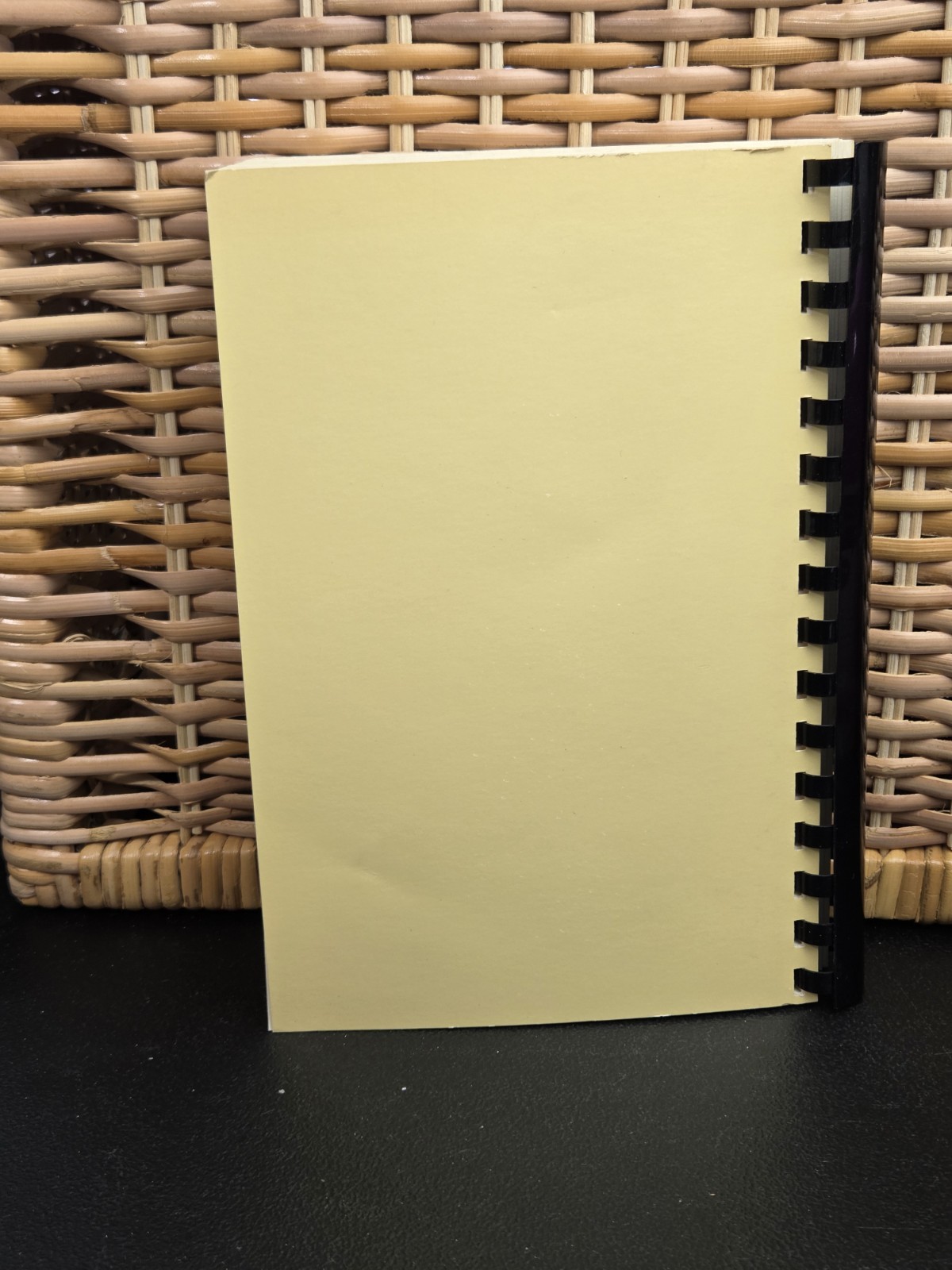 Recipes From Historic North Mecklenburg NC Huntersville Woman’s Club 1981