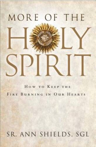 More of the Holy Spirit: How to Keep the Fire Burning in Our Hearts – VERY GOOD