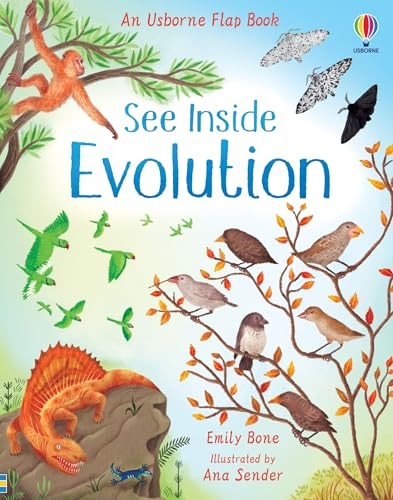 See Inside Evolution – board book Bone, Emily|Sender, Ana