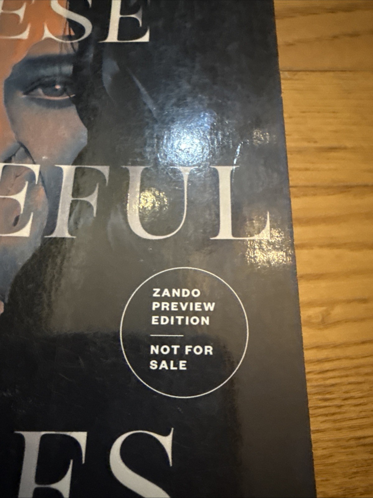 These Vengeful Wishes Vanessa Montalban ARC Zando Preview Edition New PB