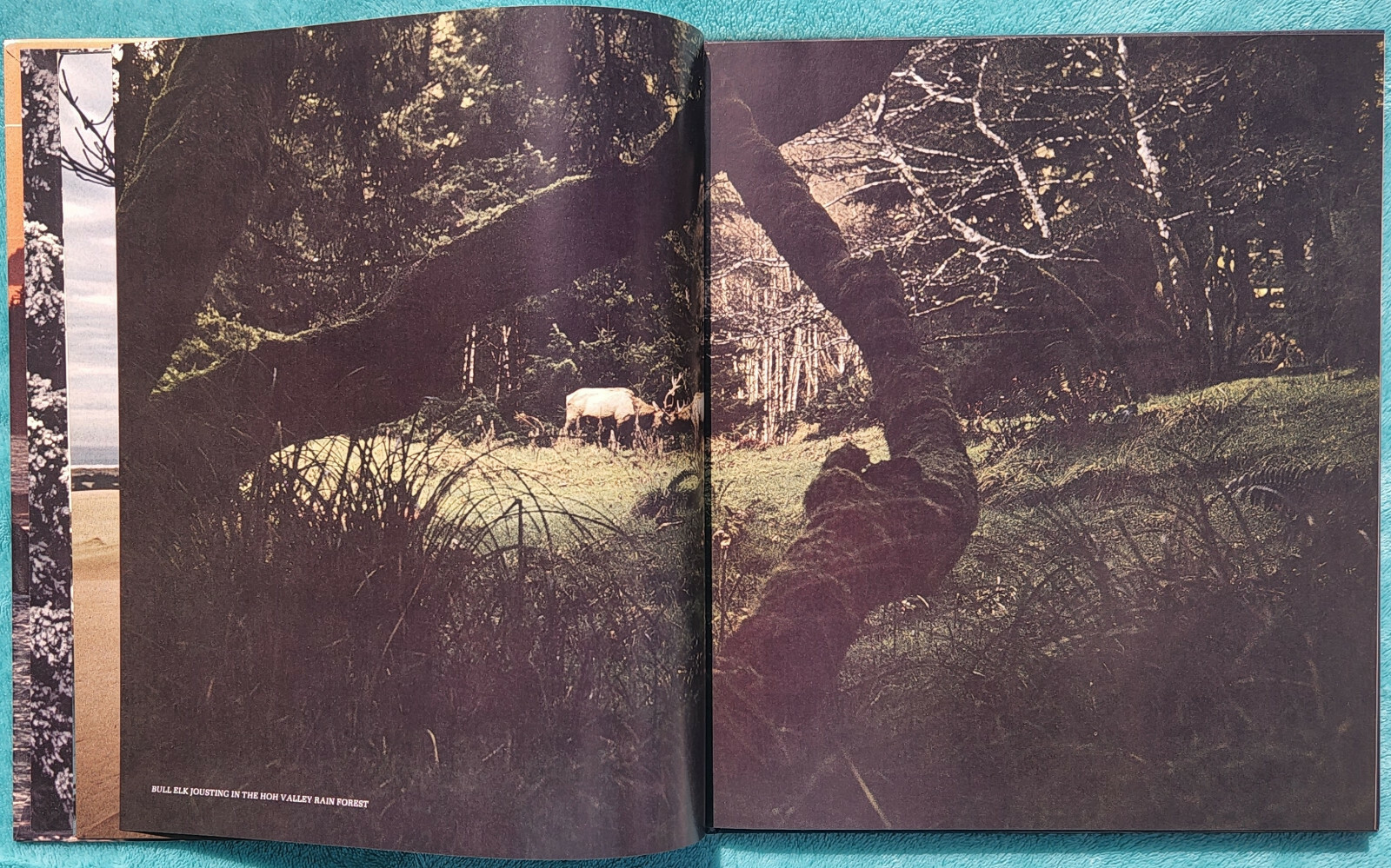 The Northwest Coast The American Wilderness 1973 Time-Life Hardcover 184 Pages