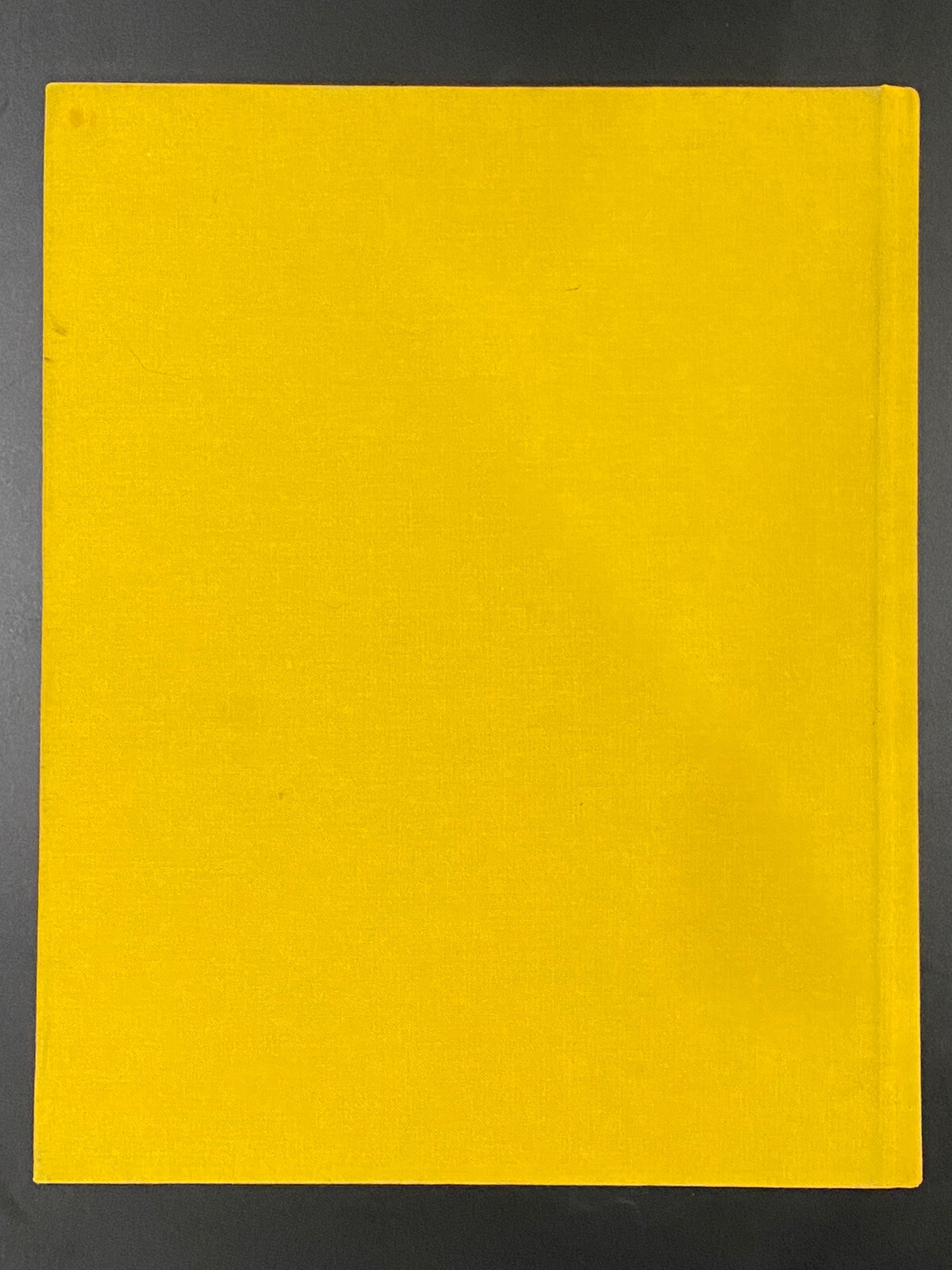 303 Gallery : 35 Years by N.Y.) Staff 303 Gallery (New York (Hardcover)