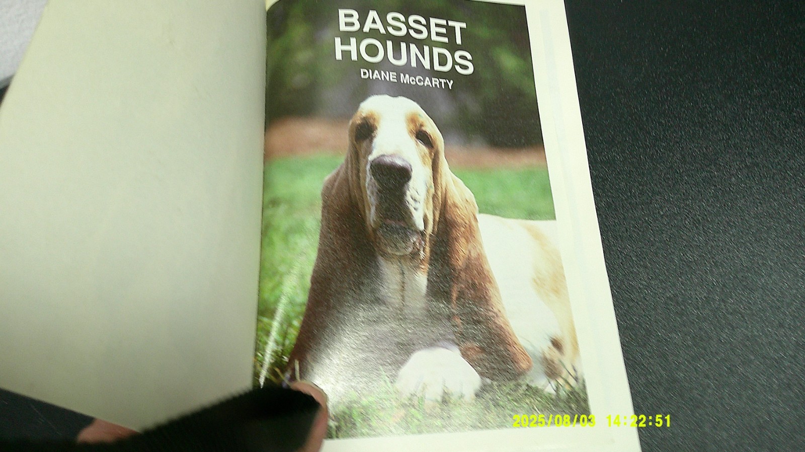 Basset Hounds ~ Diane McCarty ~ 224 Pages ~ 1995 PB