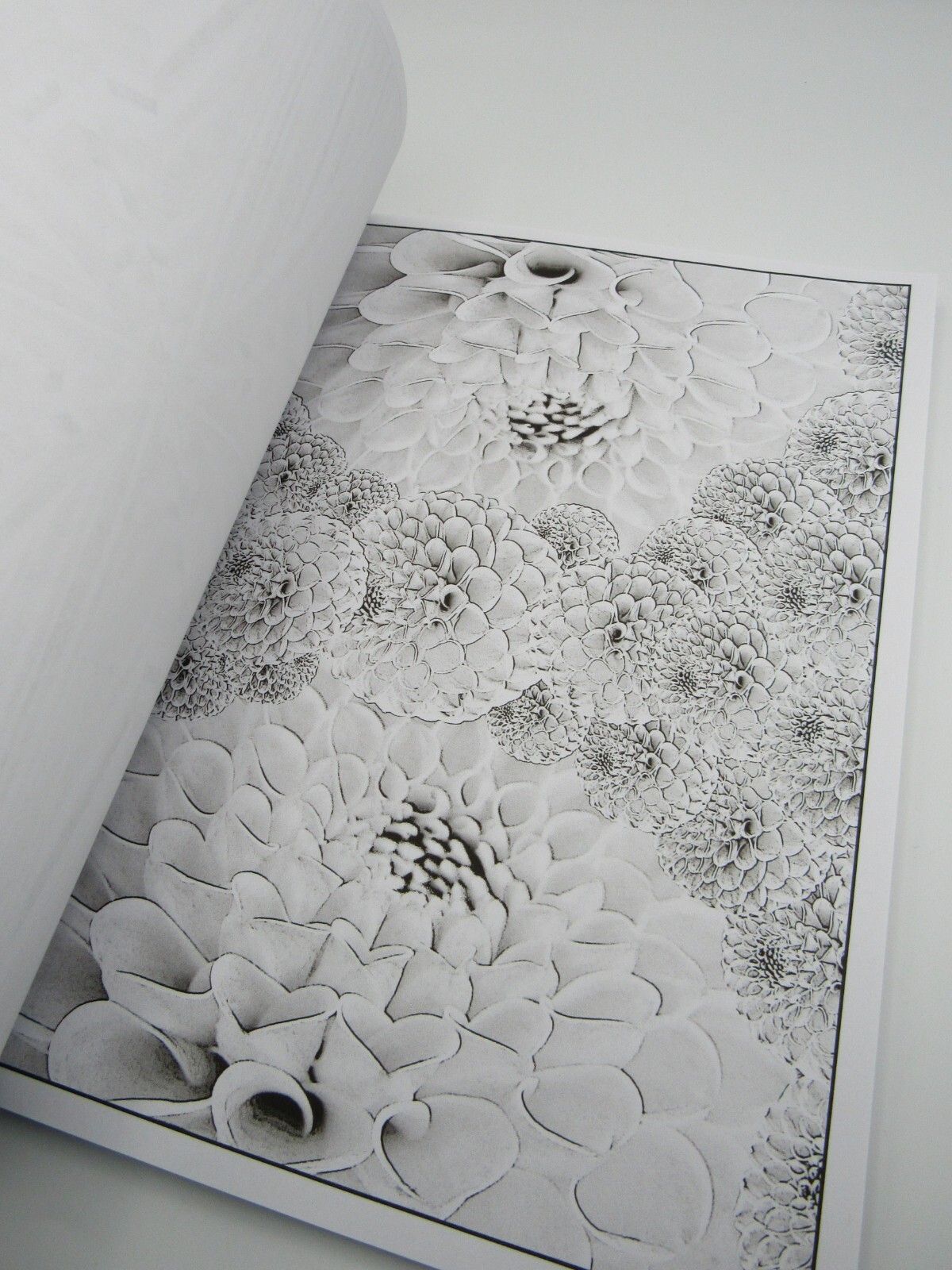 Abstract Challenge-2 Grayscale Coloring Book for Adults: 44 Coloring Pages