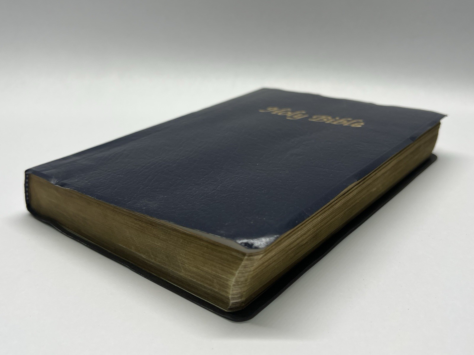 The New American Bible /Bible Catholic Word Press ~
