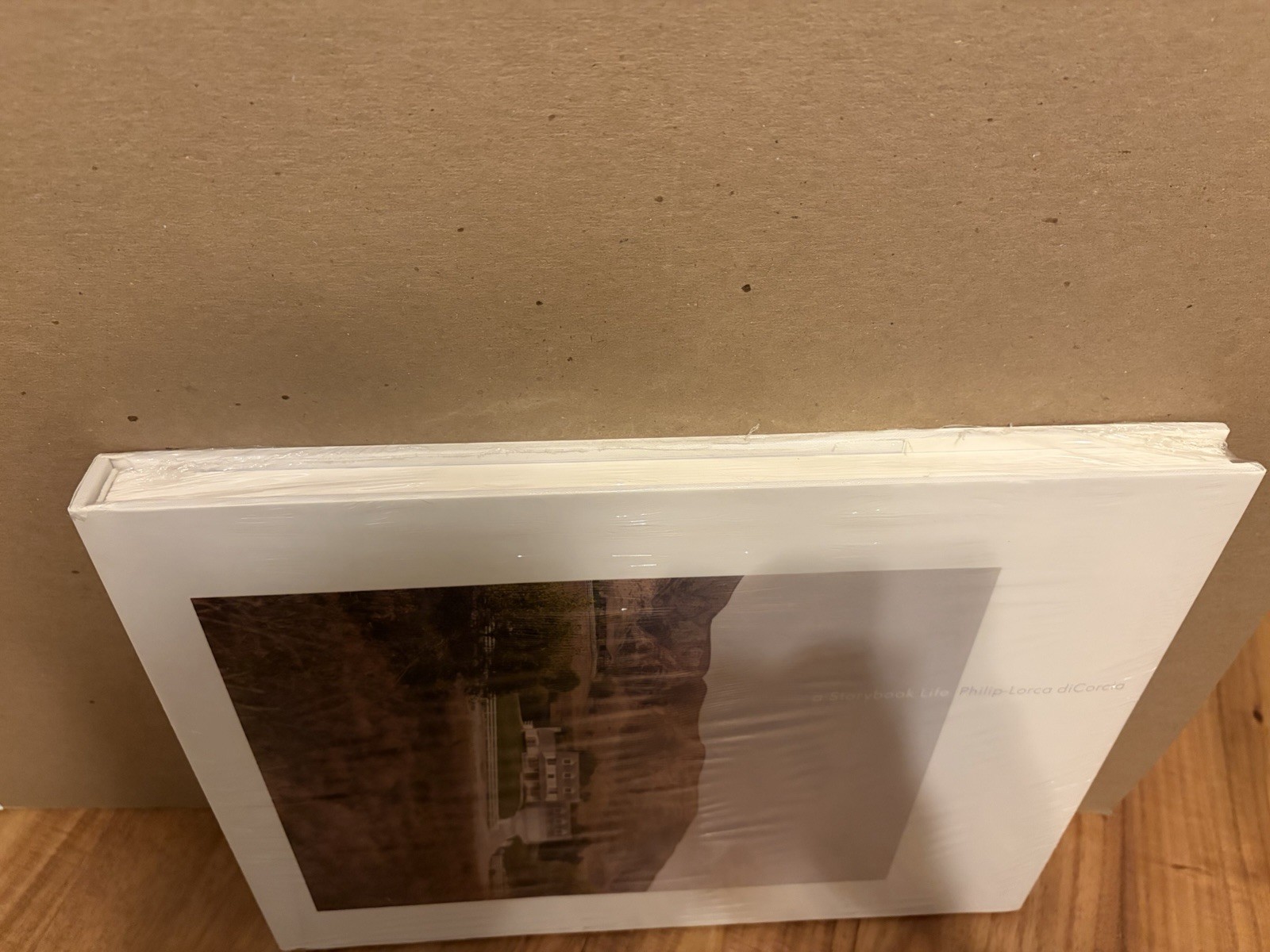 Philip-Lorca diCorcia: A Storybook Life Hardcover Photography Book New In Shrink
