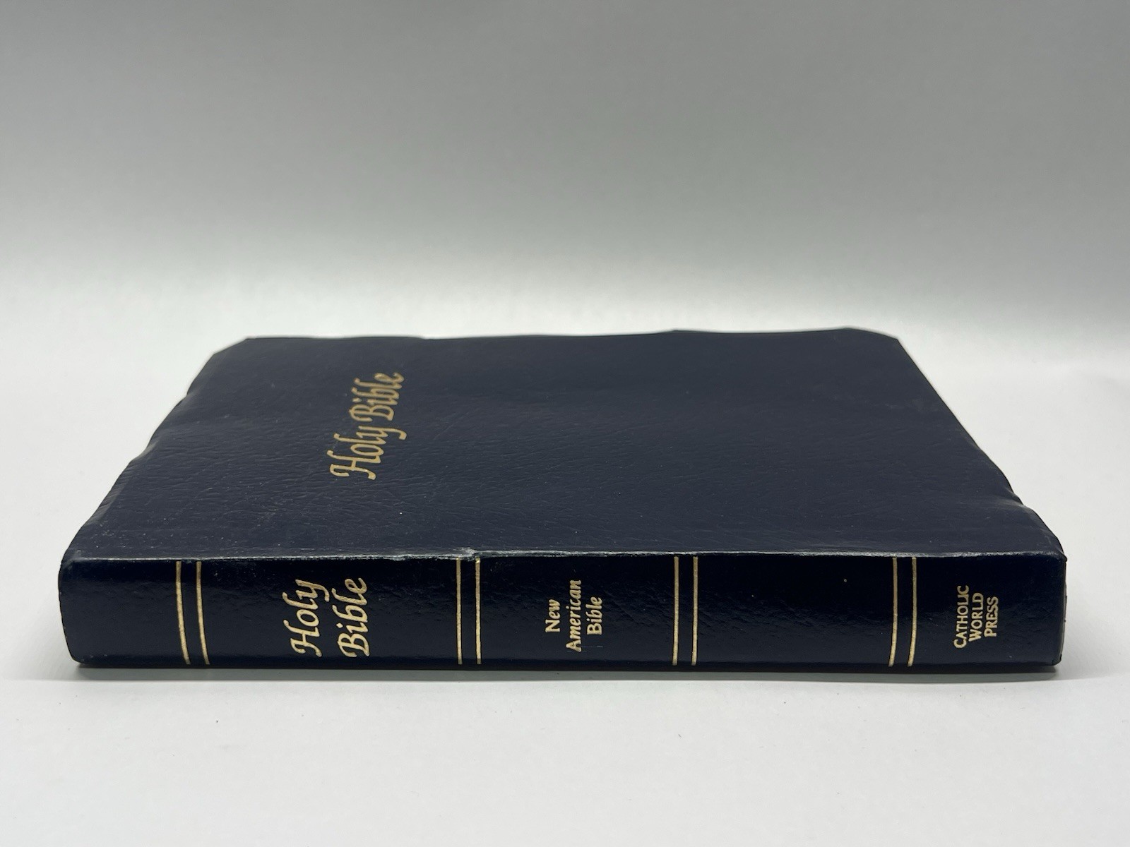 The New American Bible /Bible Catholic Word Press ~