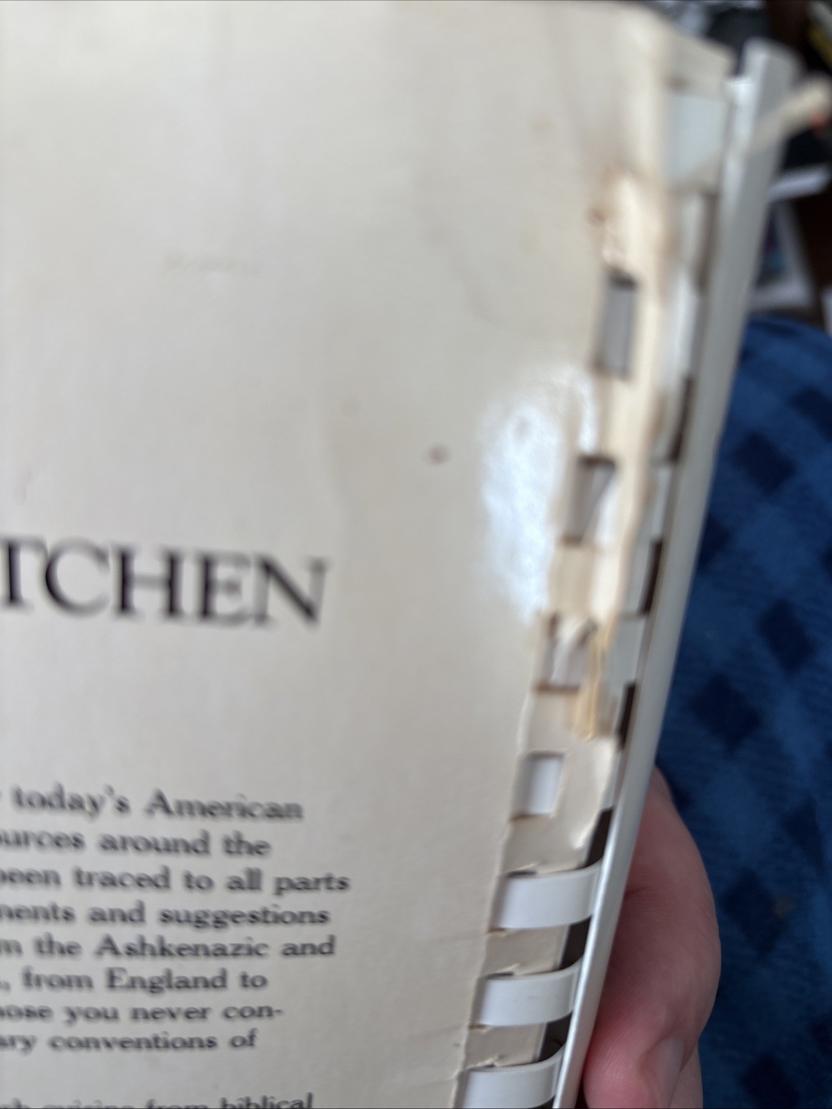 The Jewish Holiday Kitchen Cookbook Joan Nathan 280 Pages Thorough Yumm Blintz