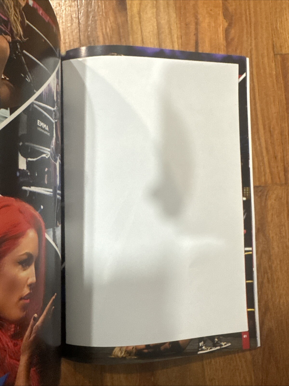 2016 WWE Official Program with Poster Raw Smackdown Rollins Wyatt 76 Pages NEW