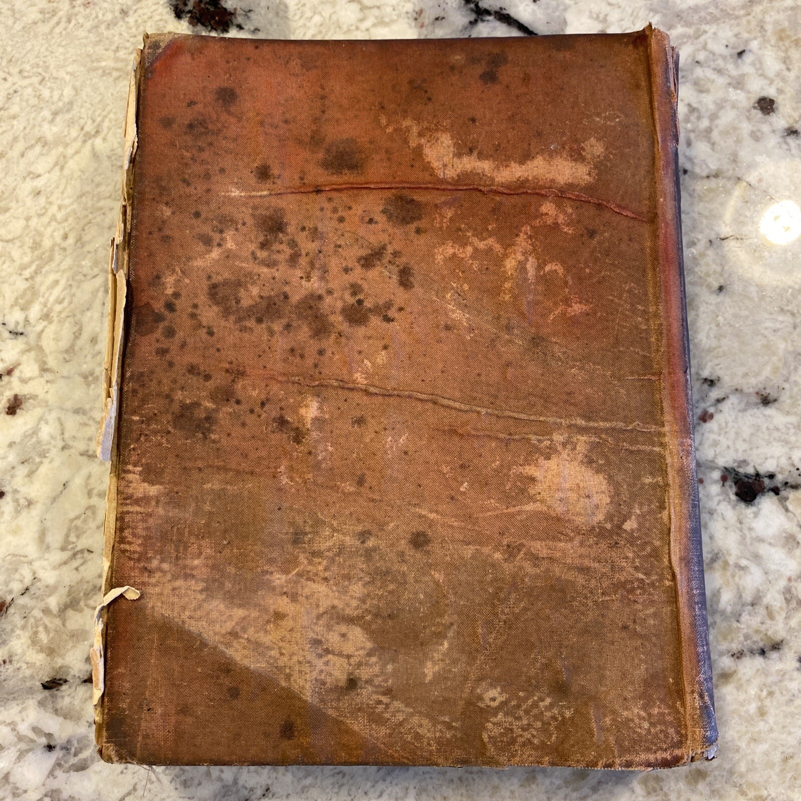 Samantha Among the Brethren by Marietta Holley, Josiah Allen’s Wife (HC), 1892