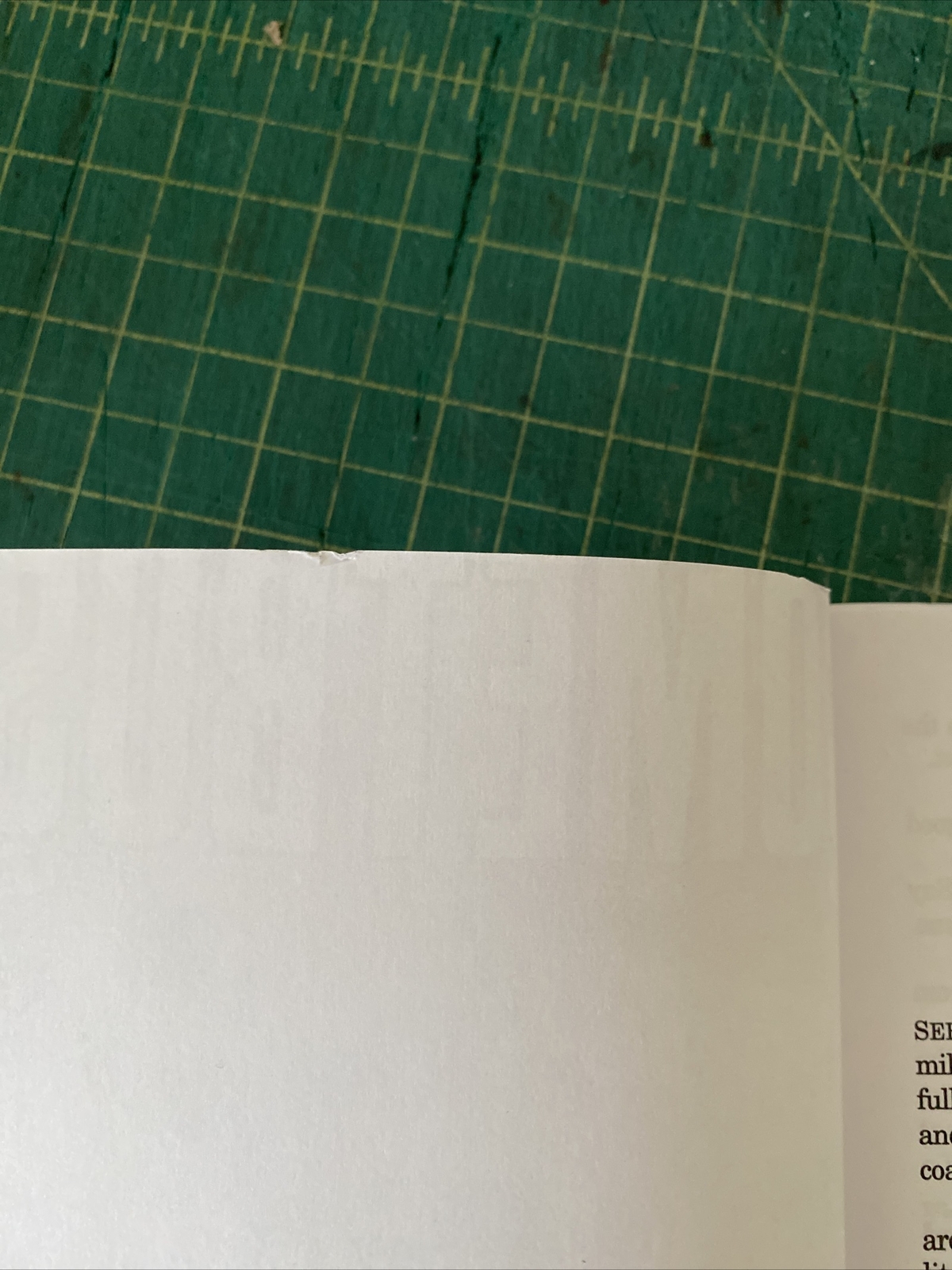 COMETBUS #58 Zimmerwald zine FANZINE perzine SF CA PUNK ROCK 44 pages RTWWC htf