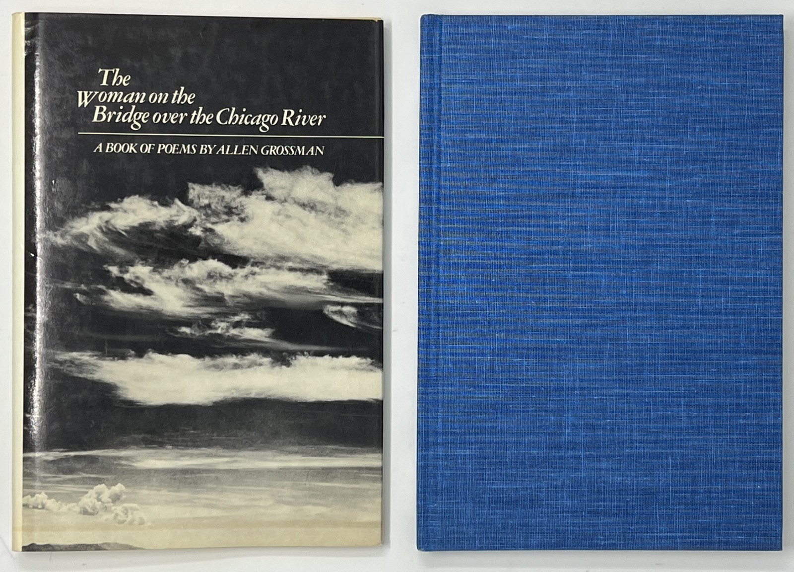 VTG The Woman on the Bridge over the Chicago River by Allen Grossman – 1979 HCDJ