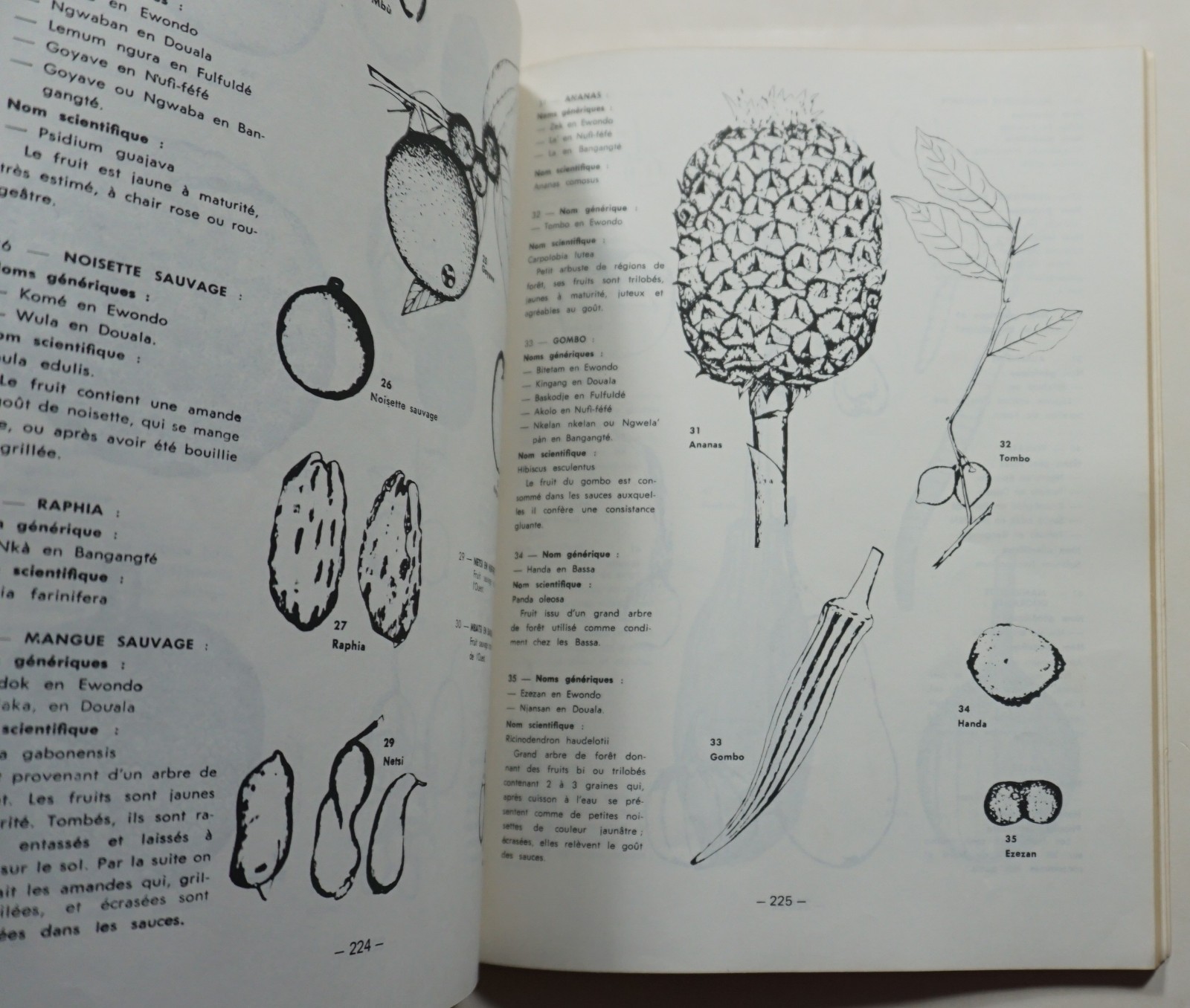 Le Grand Livre de la Cuisine Camerounaise – Grimaldi Cameroon Cookbook Recipes