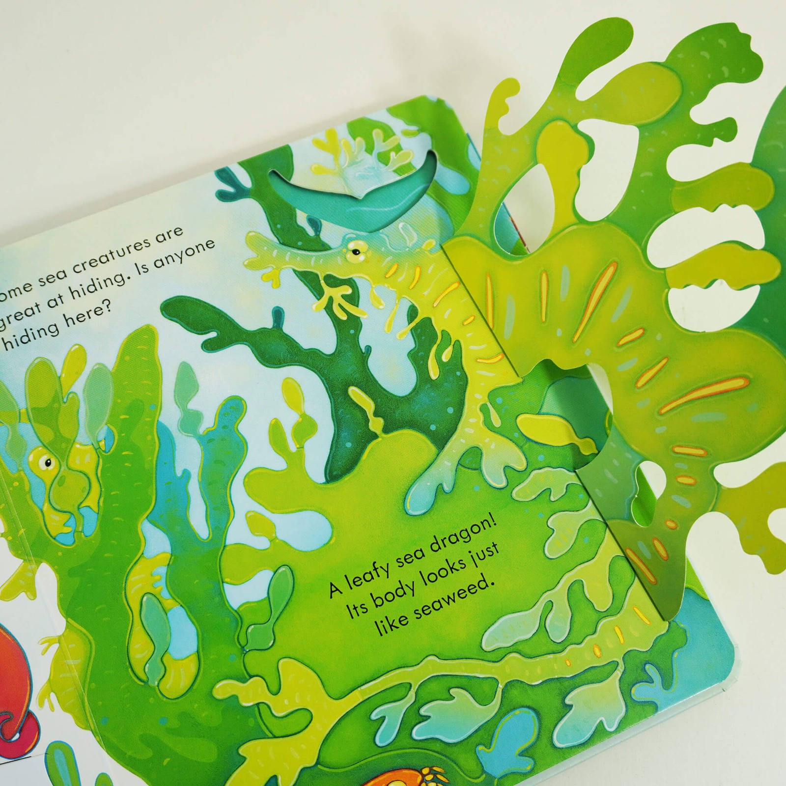 Usborne Peep Inside Gift Set 4 Board Books Set – Ages 3+ – By Anna Milbourne