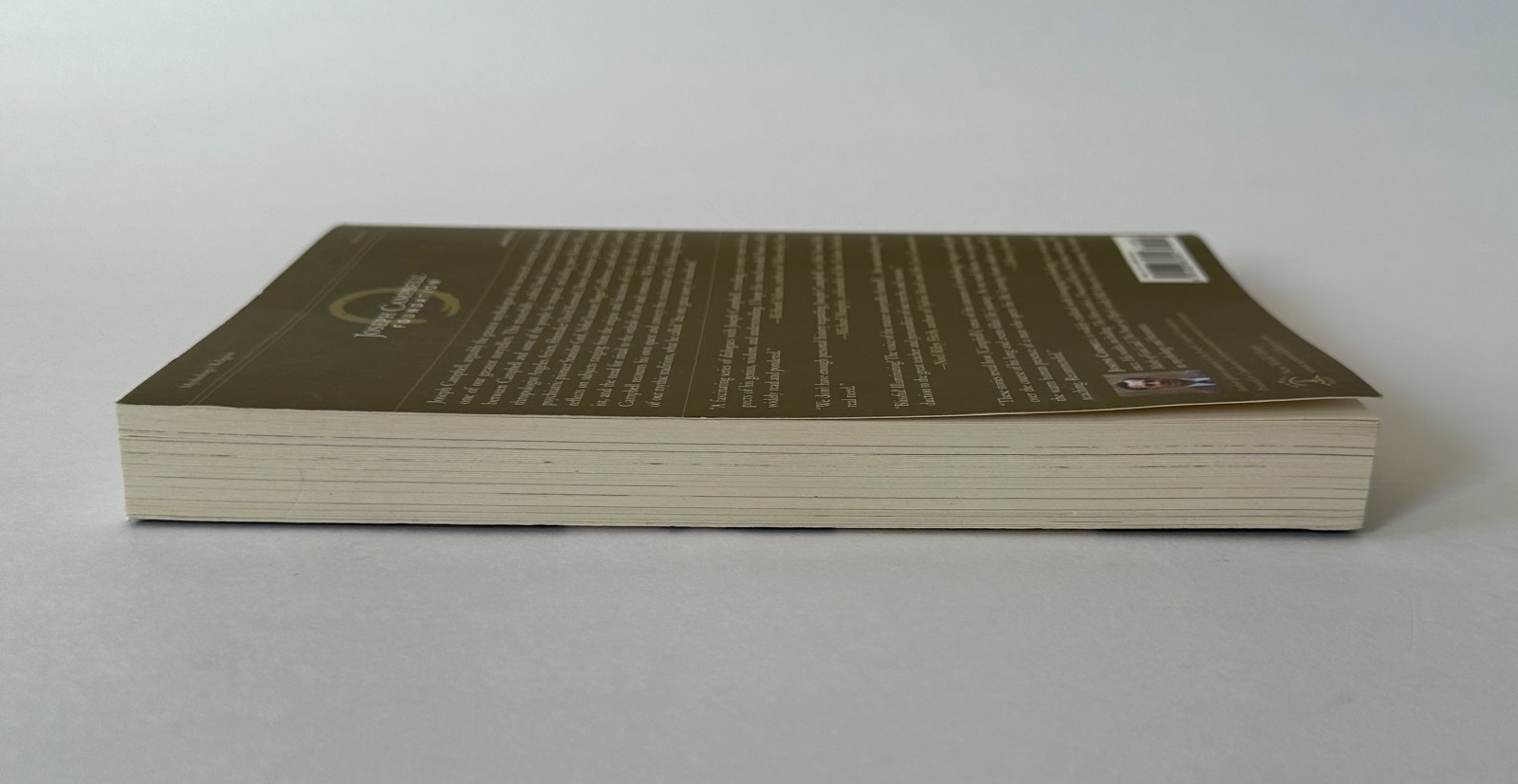 JOSEPH CAMPBELL The Hero’s Journey | 2014 New World Library Trade Paperback