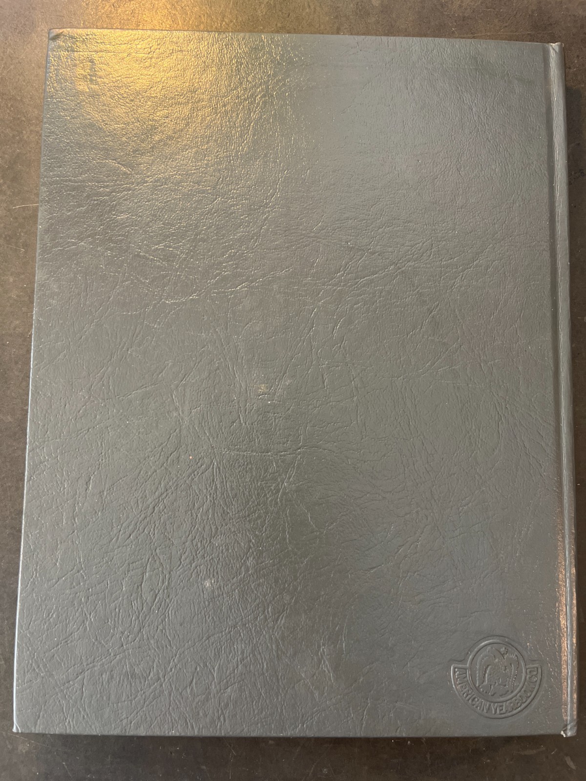 St. Cecilia Cathedral 1981 Diamond Jubilee Book by Ione Werthman